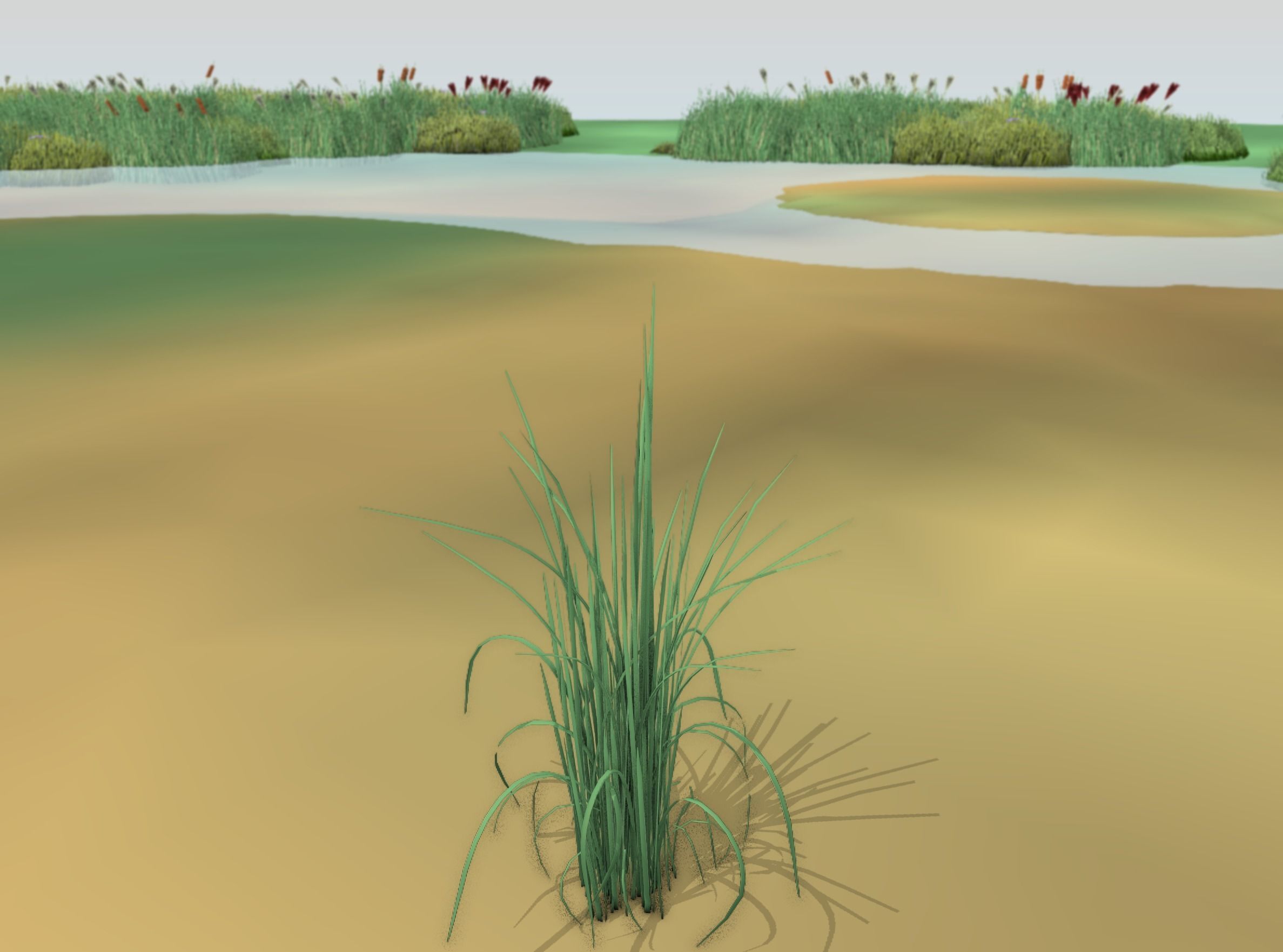 Reeds - Object 38 Low-poly 3D model_17