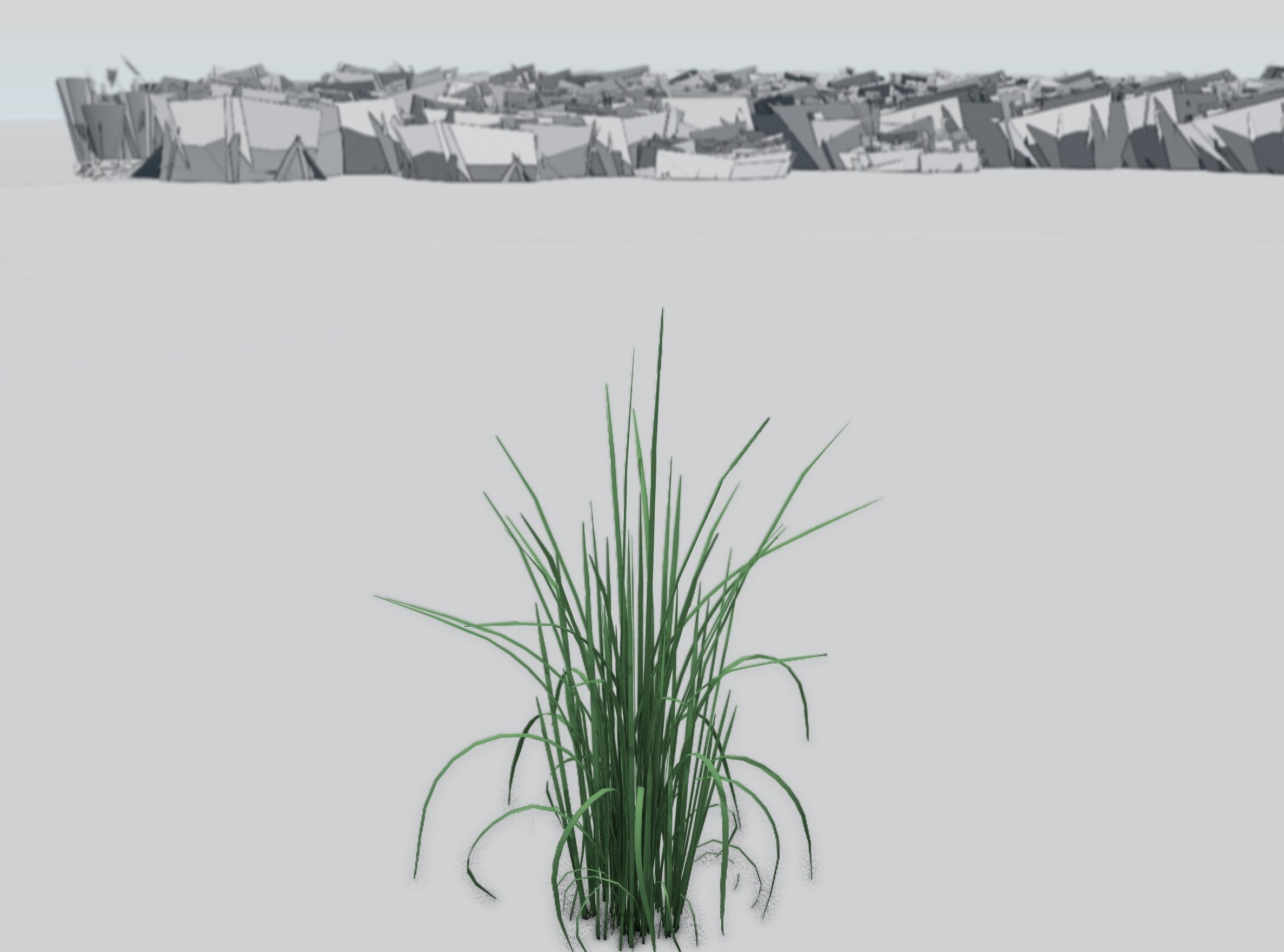Reeds - Object 38 Low-poly 3D model_33