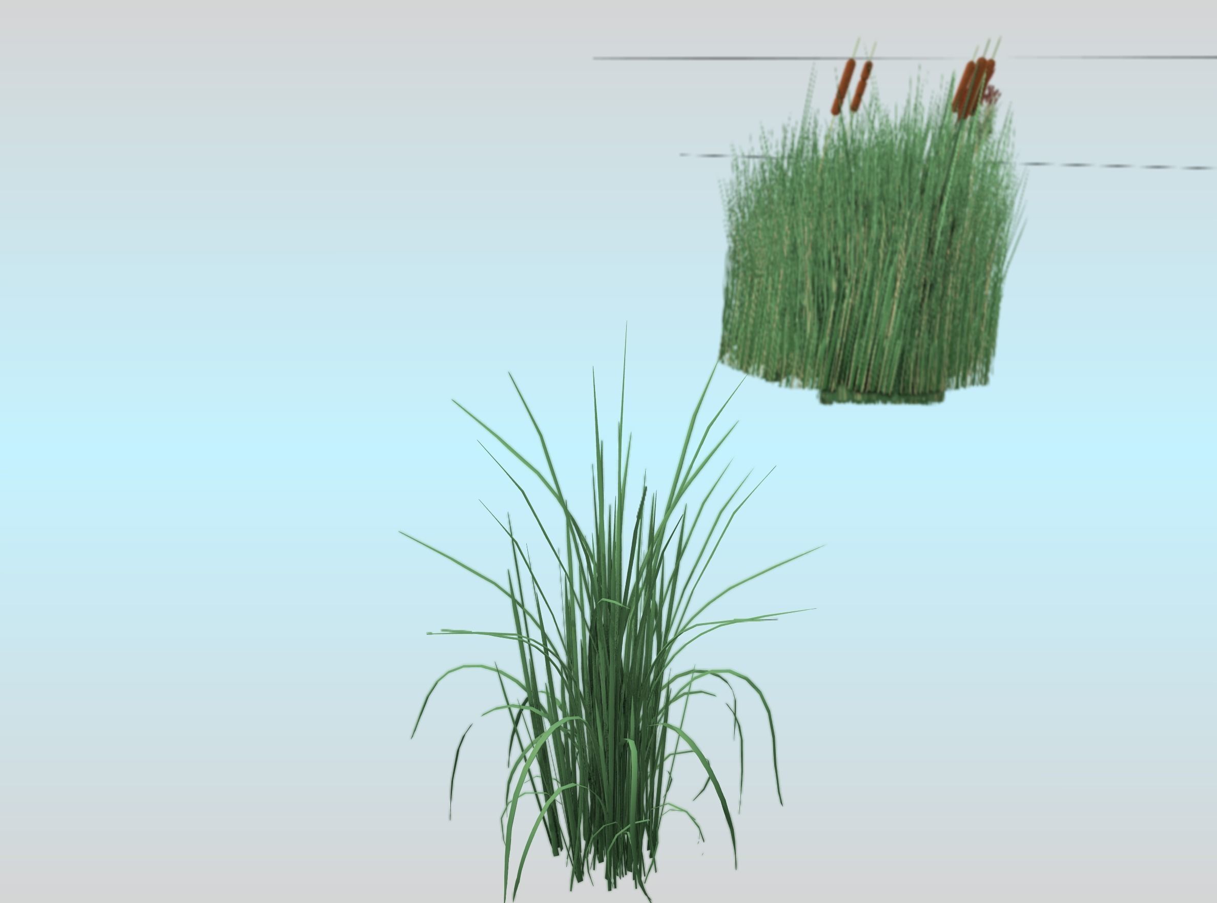 Reeds - Object 38 Low-poly 3D model_27