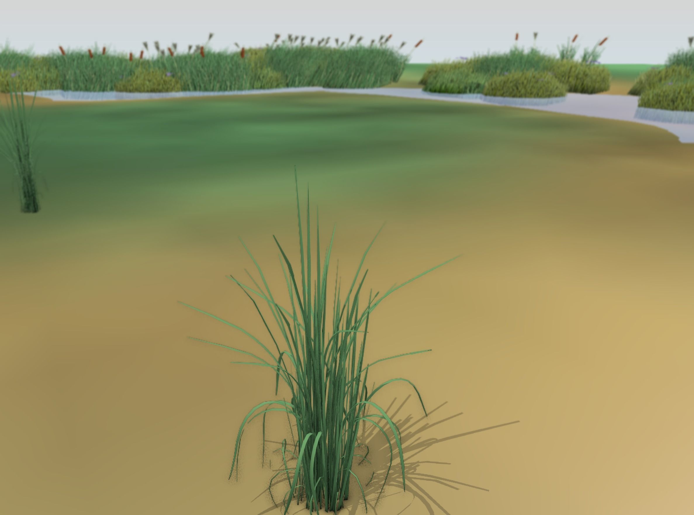 Reeds - Object 38 Low-poly 3D model_44