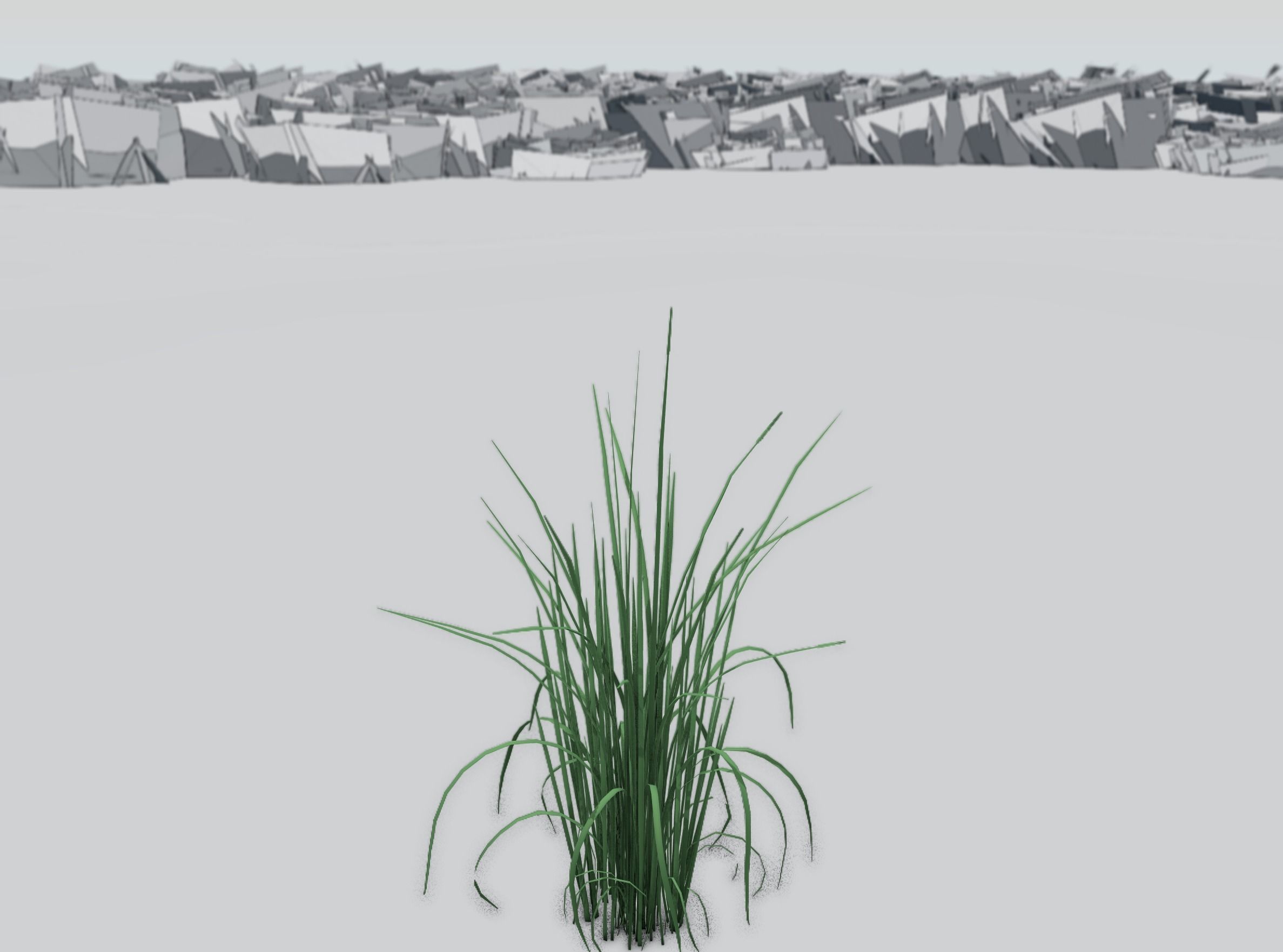 Reeds - Object 38 Low-poly 3D model_32