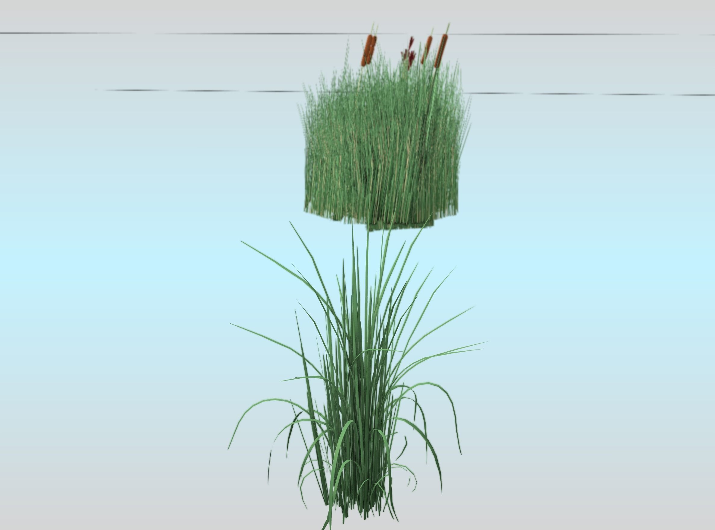 Reeds - Object 38 Low-poly 3D model_25