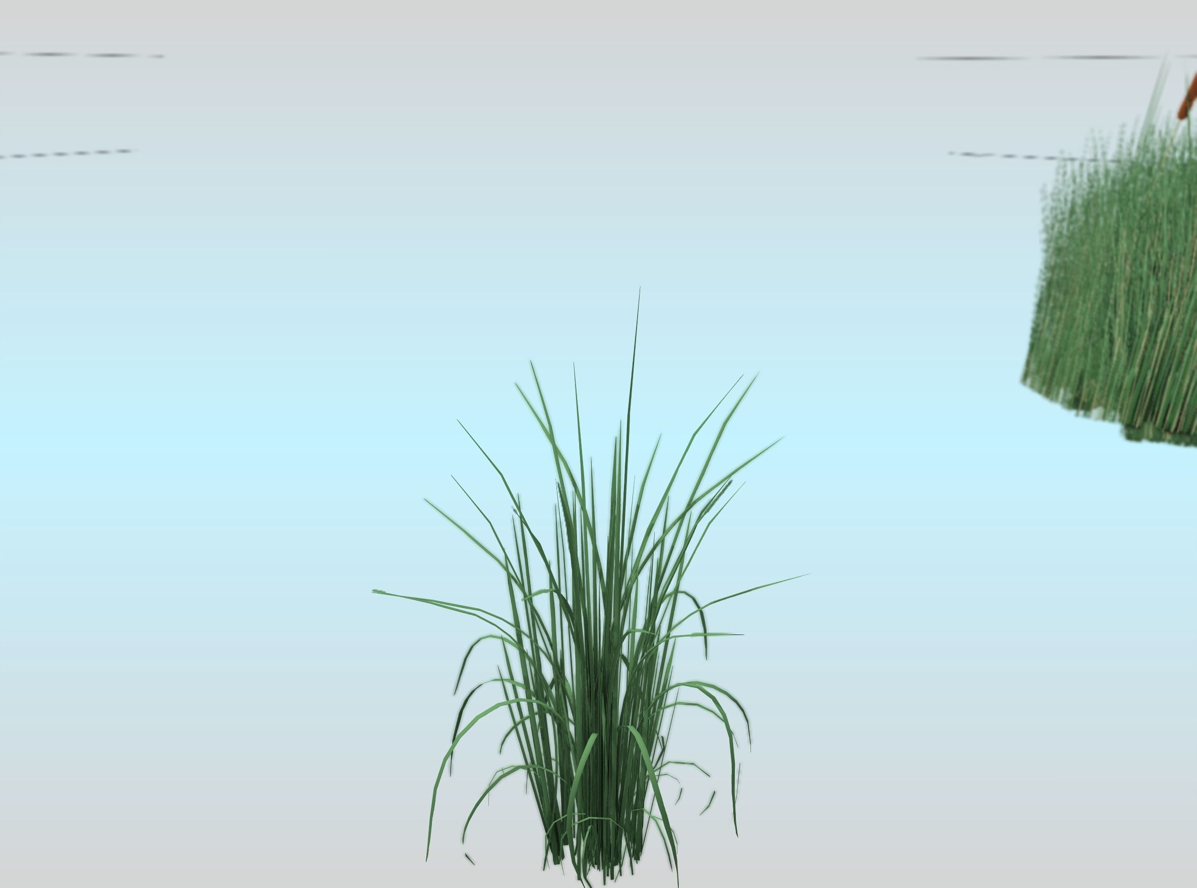 Reeds - Object 38 Low-poly 3D model_30