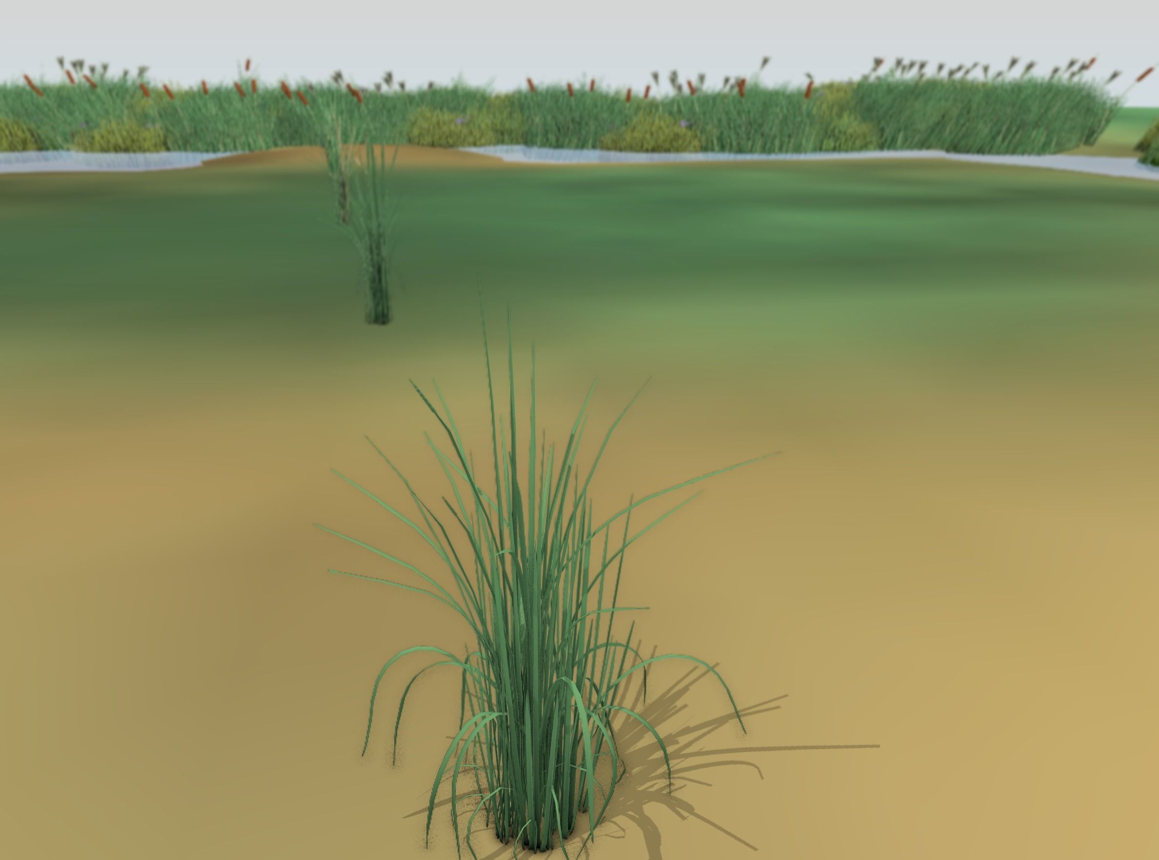 Reeds - Object 38 Low-poly 3D model_47