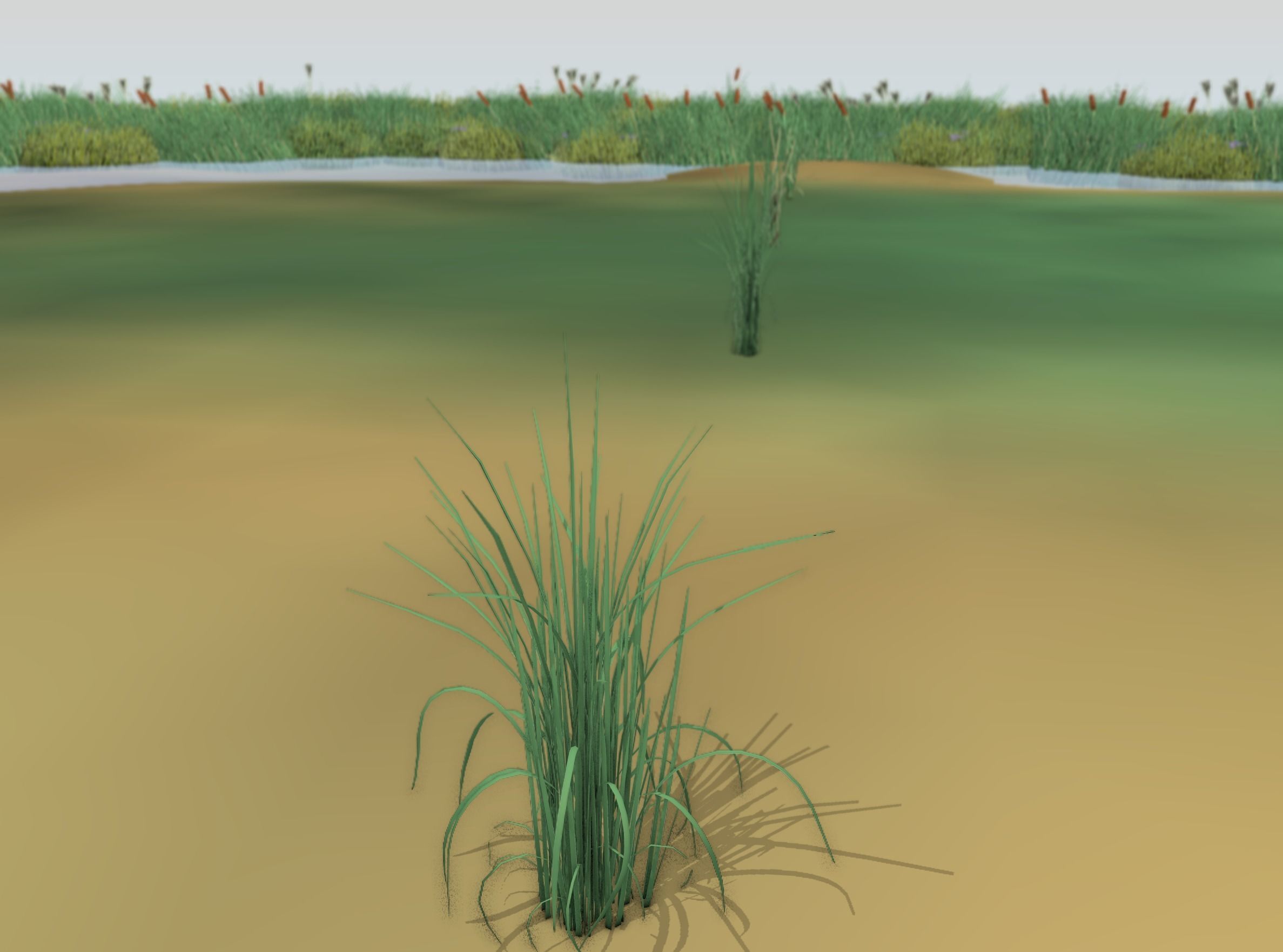 Reeds - Object 38 Low-poly 3D model_50