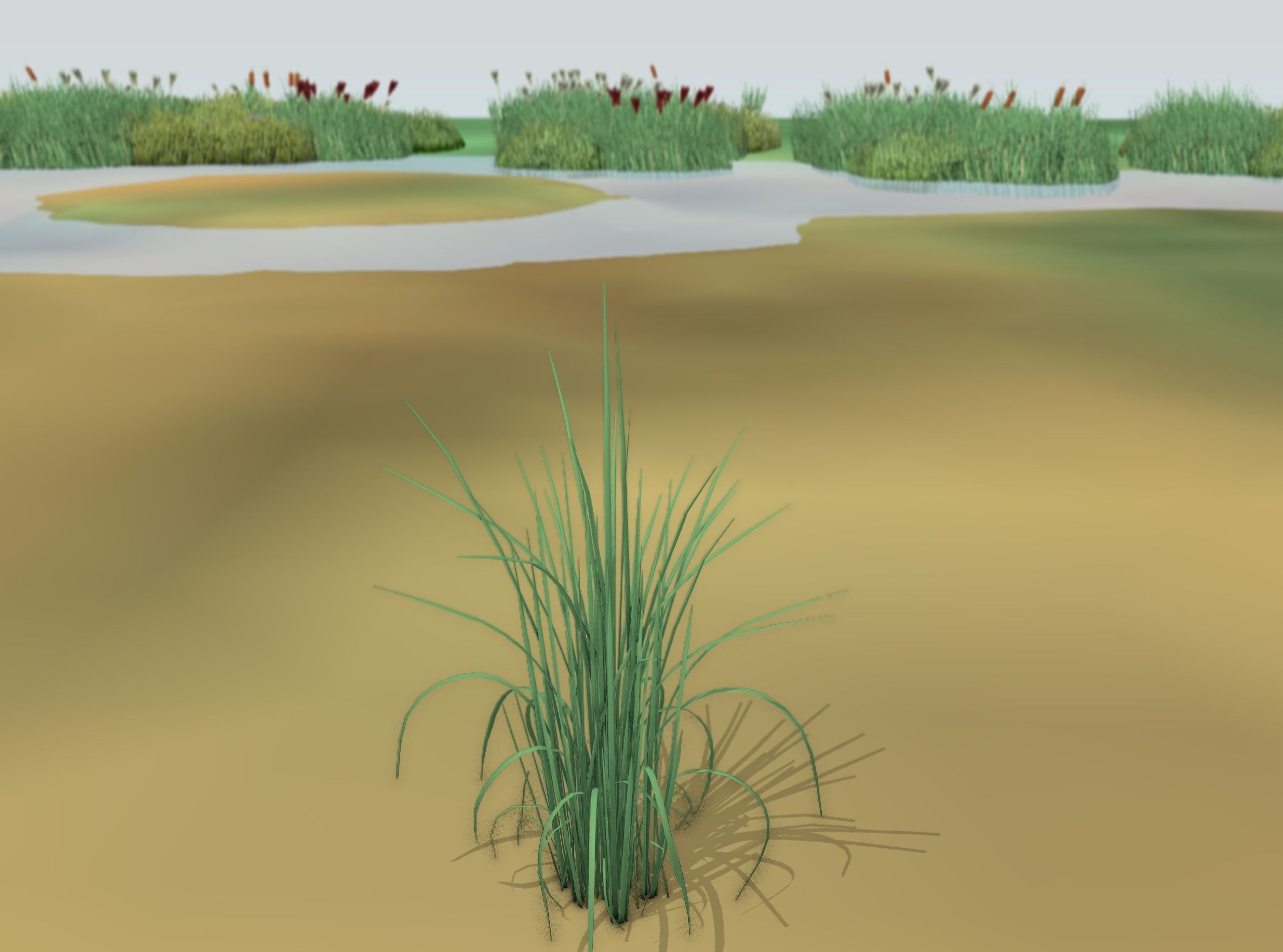 Reeds - Object 38 Low-poly 3D model_12