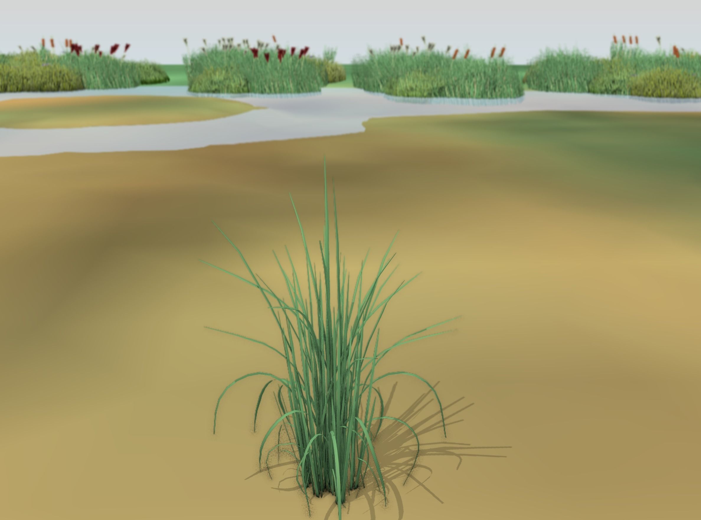 Reeds - Object 38 Low-poly 3D model_11