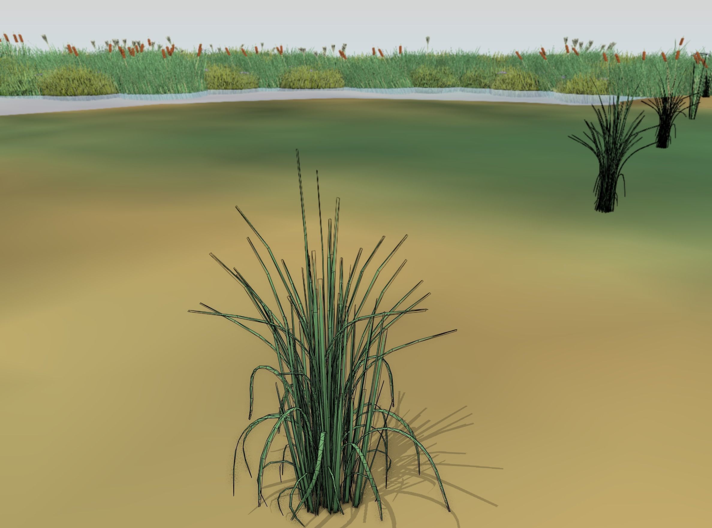 Reeds - Object 38 Low-poly 3D model_5