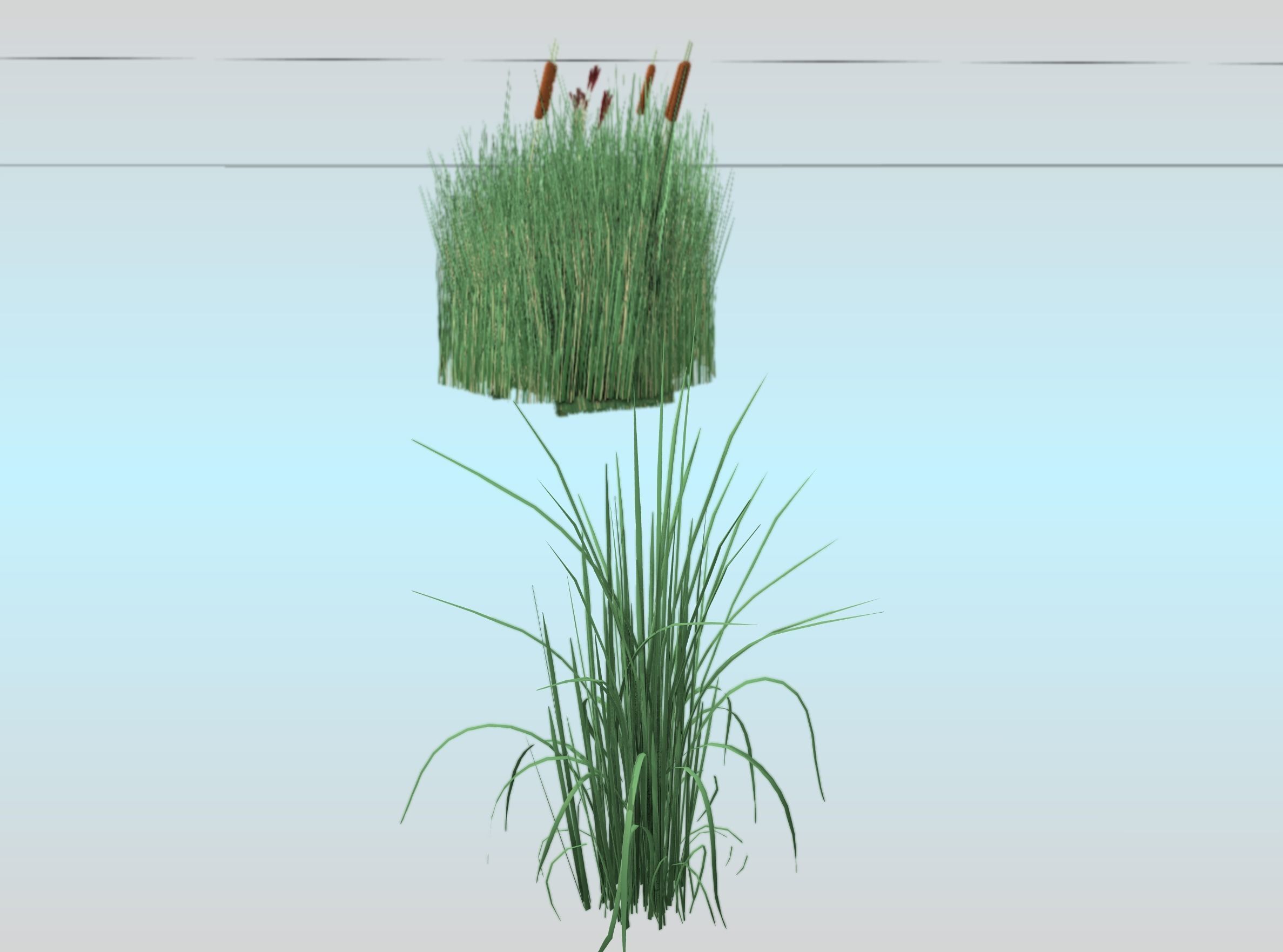 Reeds - Object 38 Low-poly 3D model_24