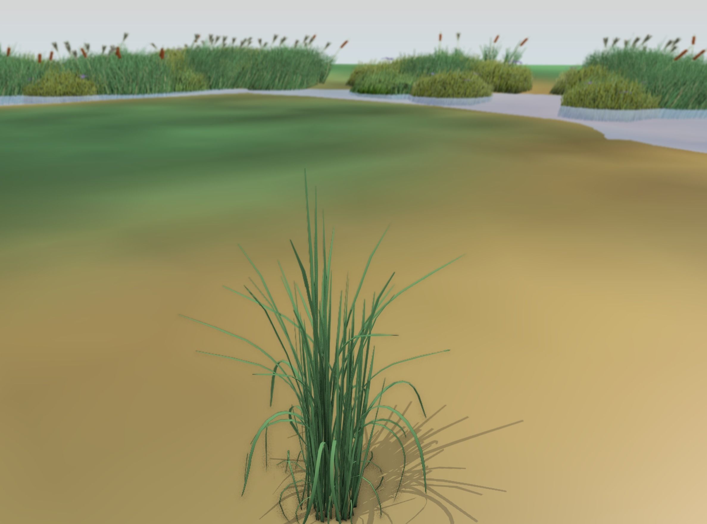 Reeds - Object 38 Low-poly 3D model_43