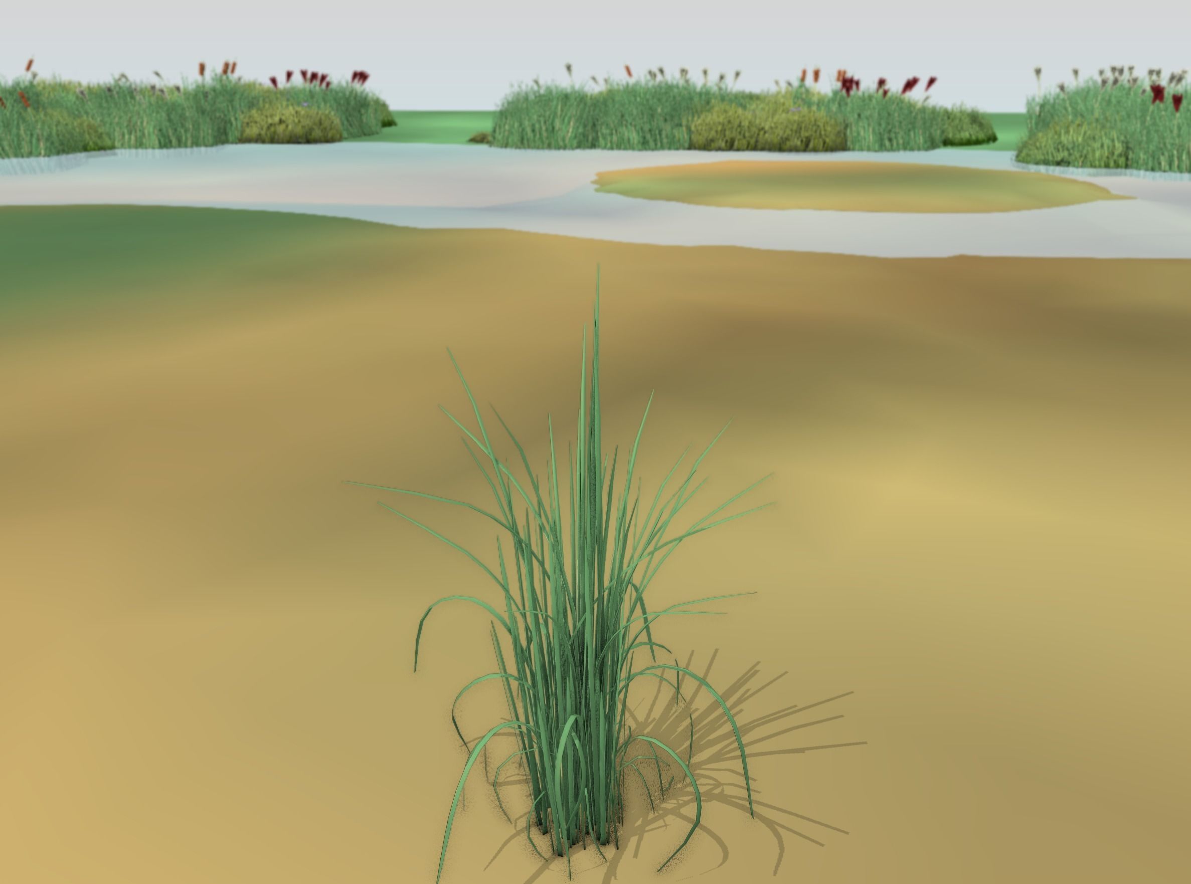 Reeds - Object 38 Low-poly 3D model_16