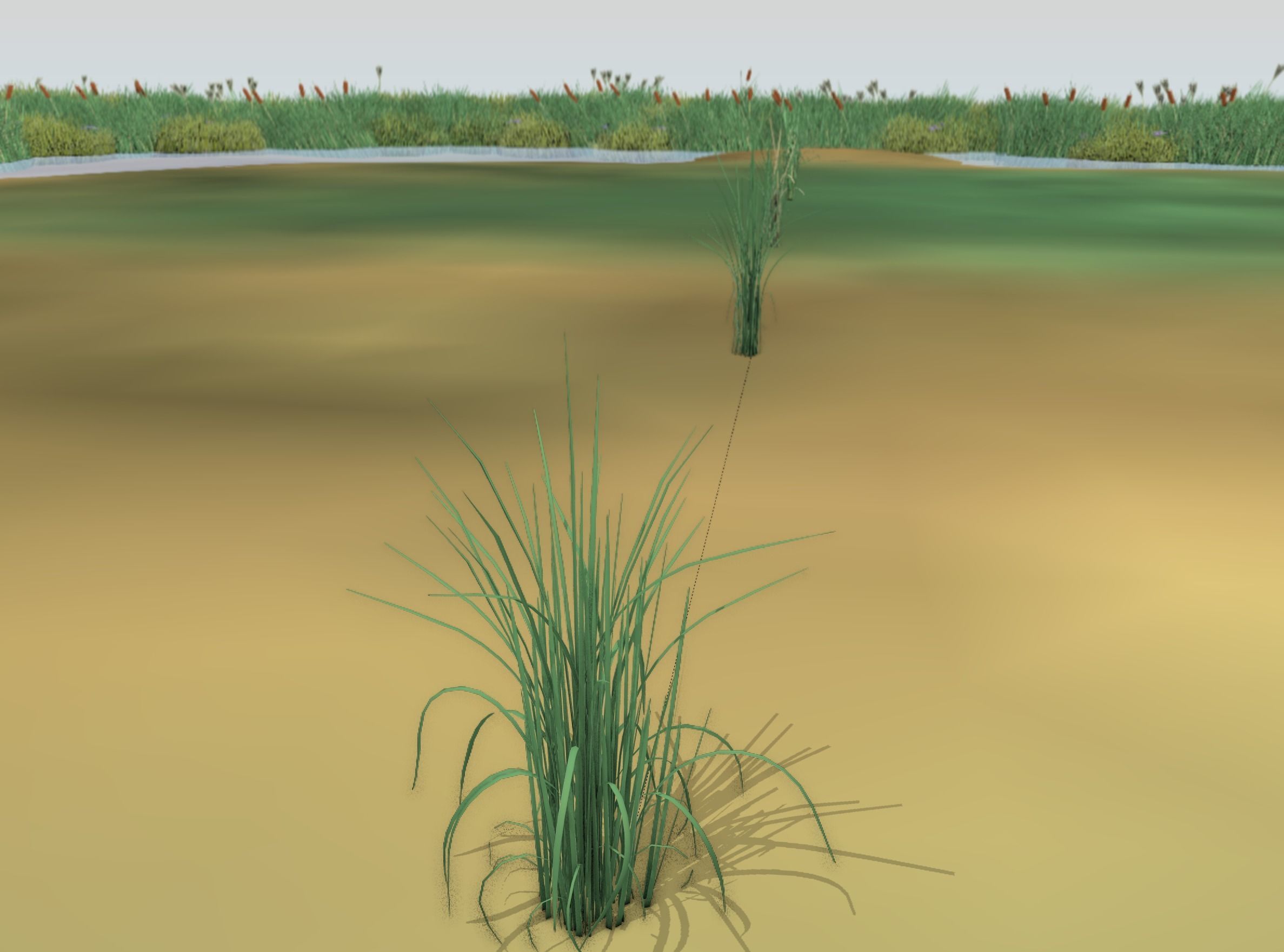 Reeds - Object 38 Low-poly 3D model_2