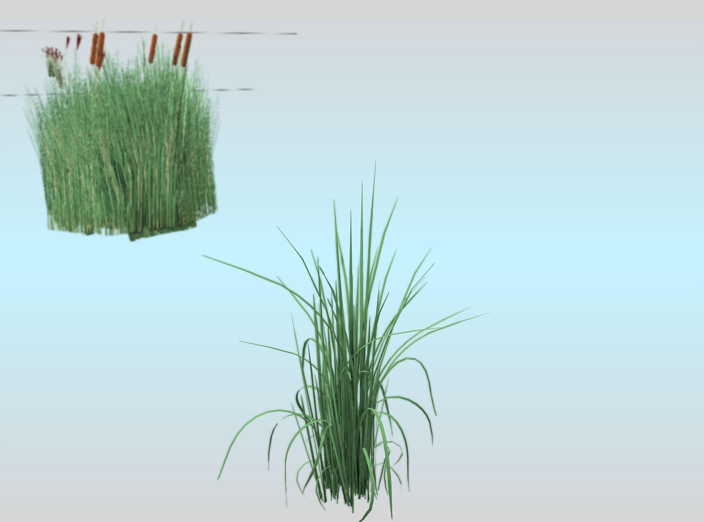 Reeds - Object 38 Low-poly 3D model_21