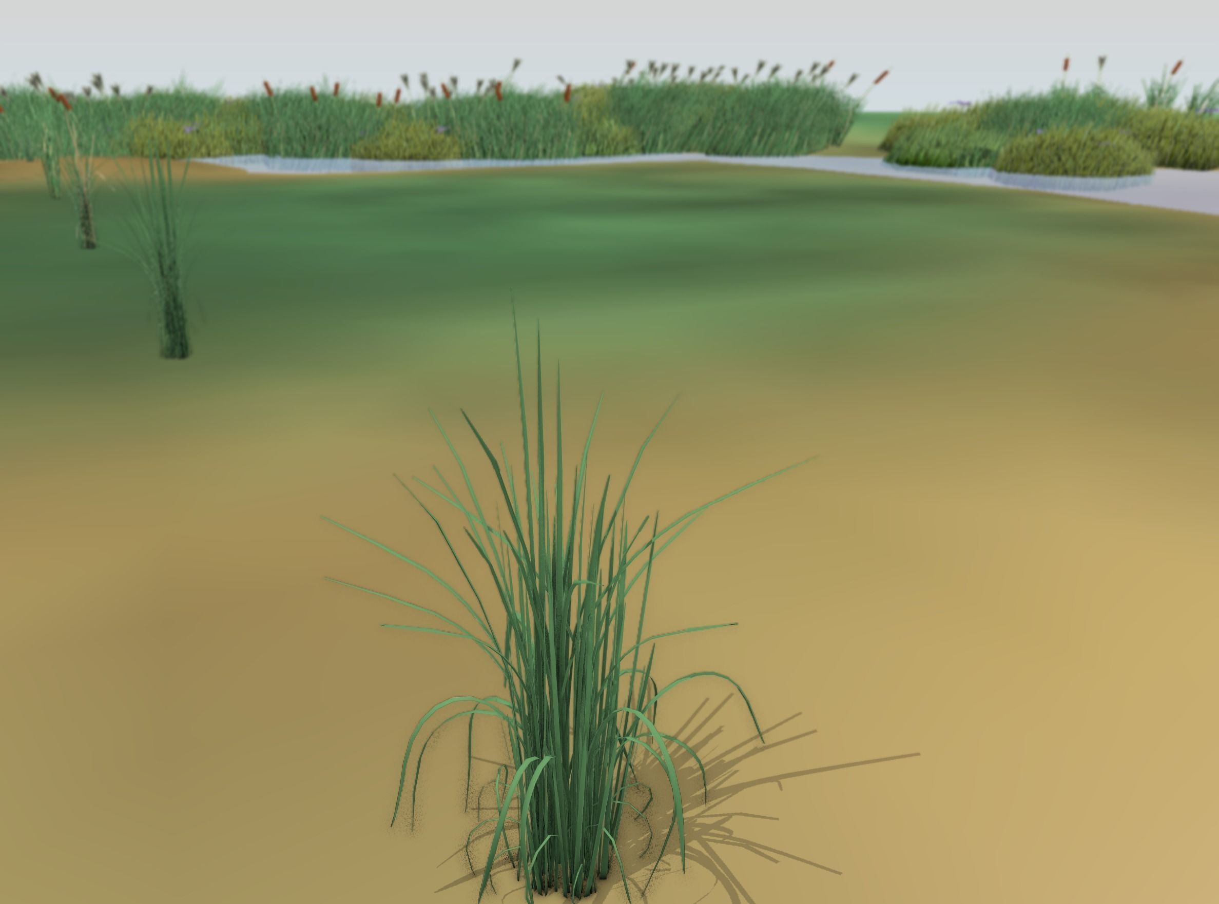 Reeds - Object 38 Low-poly 3D model_45