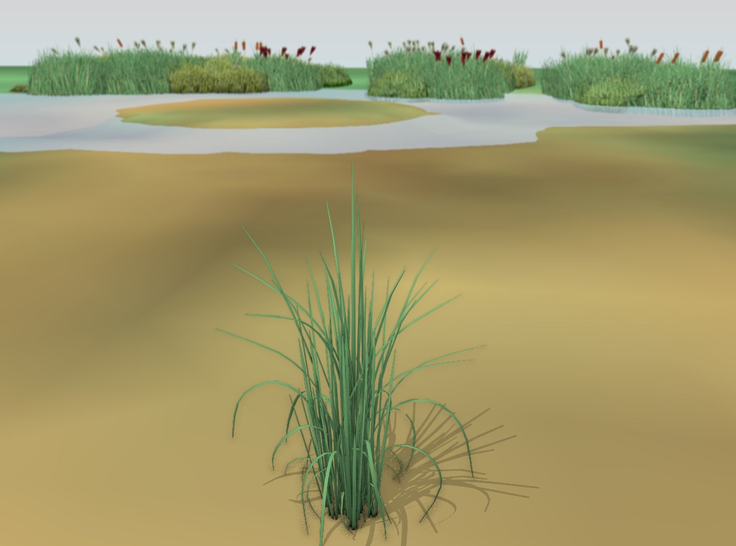Reeds - Object 38 Low-poly 3D model_13