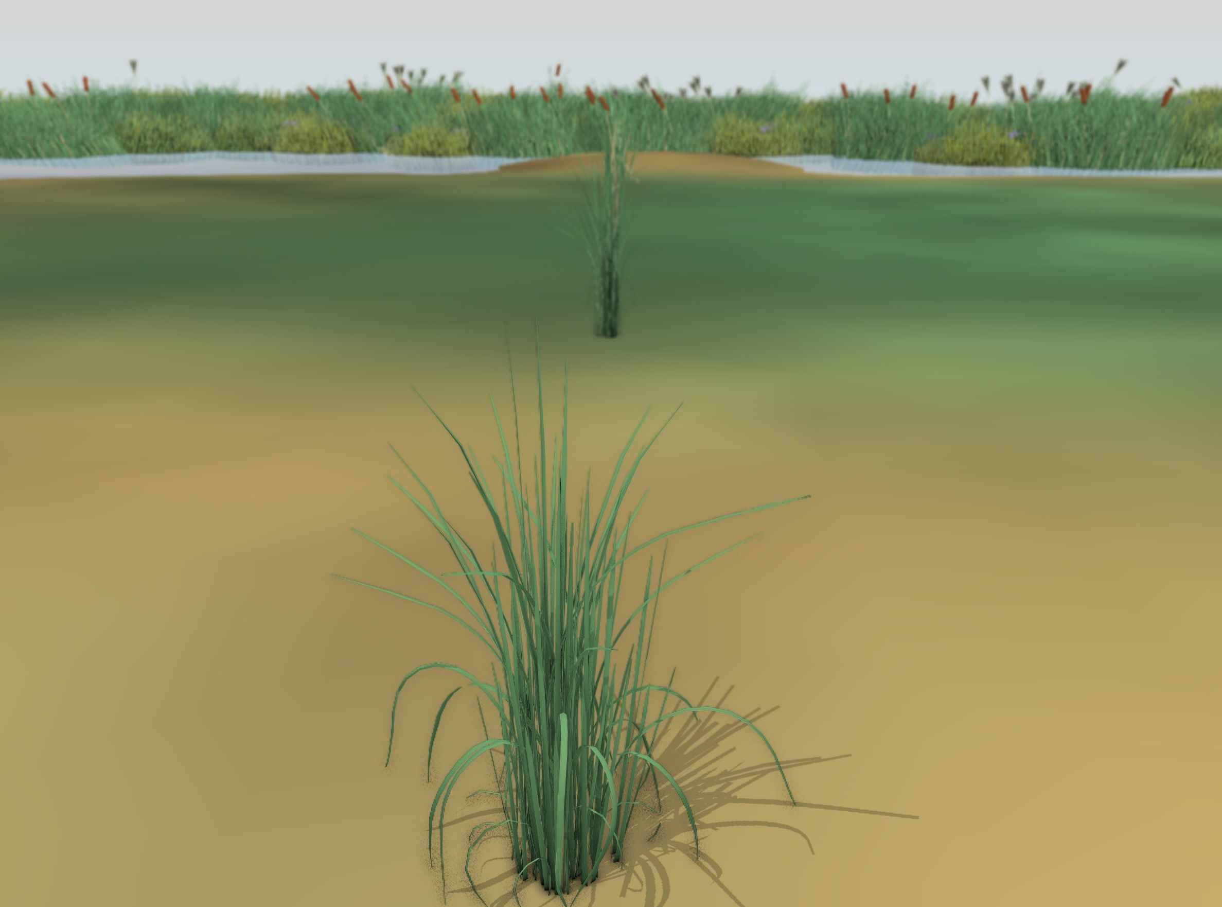 Reeds - Object 38 Low-poly 3D model_49