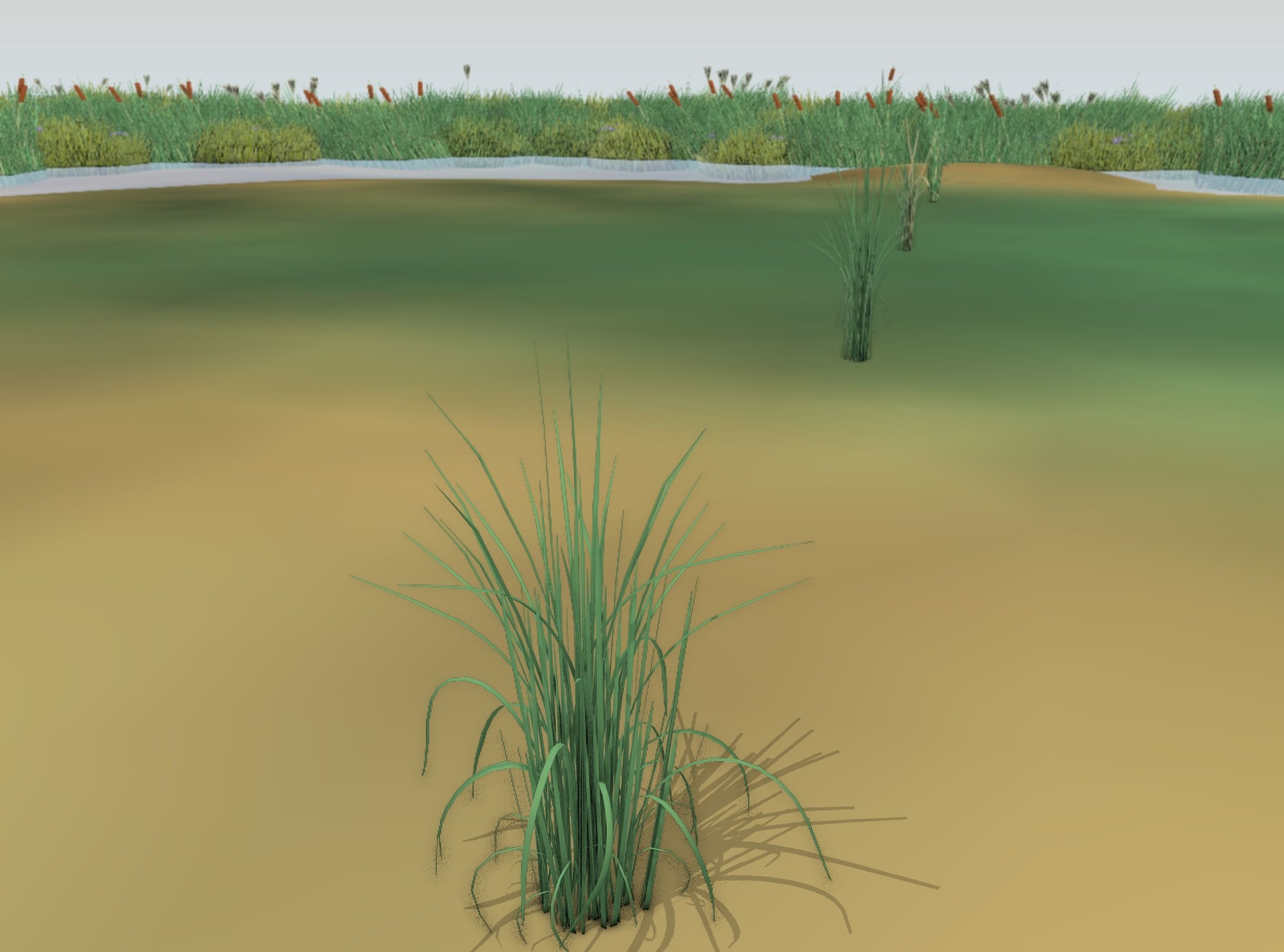 Reeds - Object 38 Low-poly 3D model_3