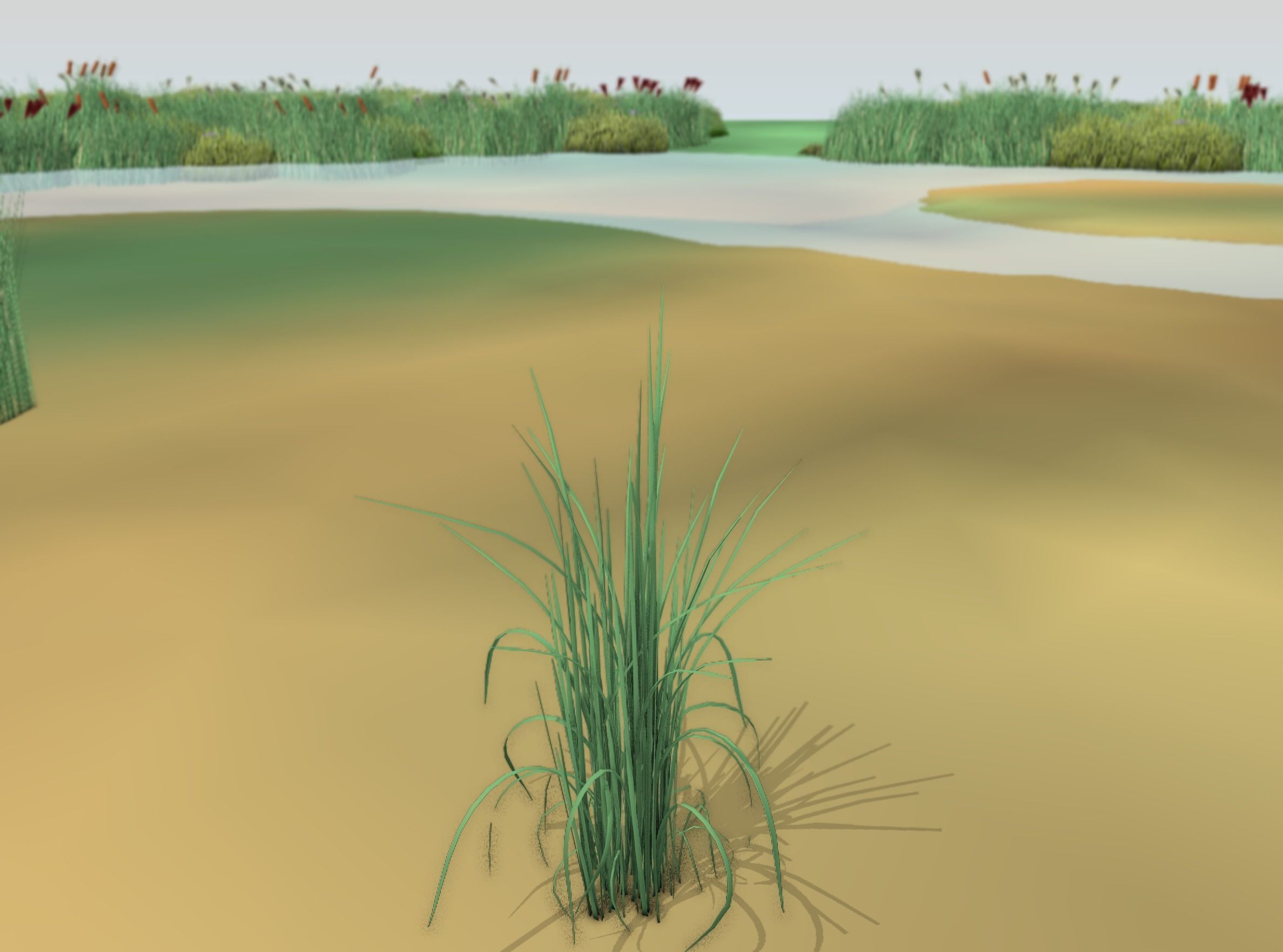 Reeds - Object 38 Low-poly 3D model_18