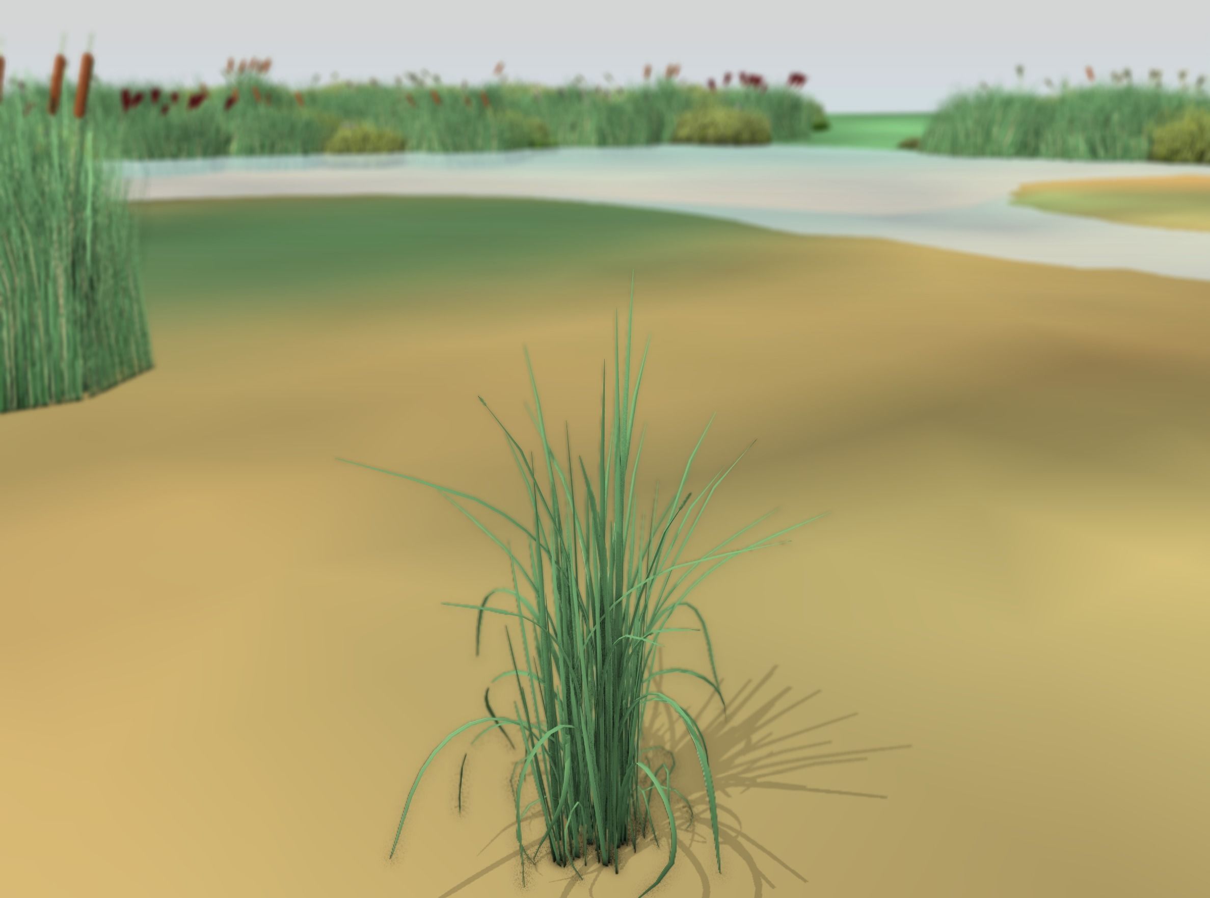 Reeds - Object 38 Low-poly 3D model_19