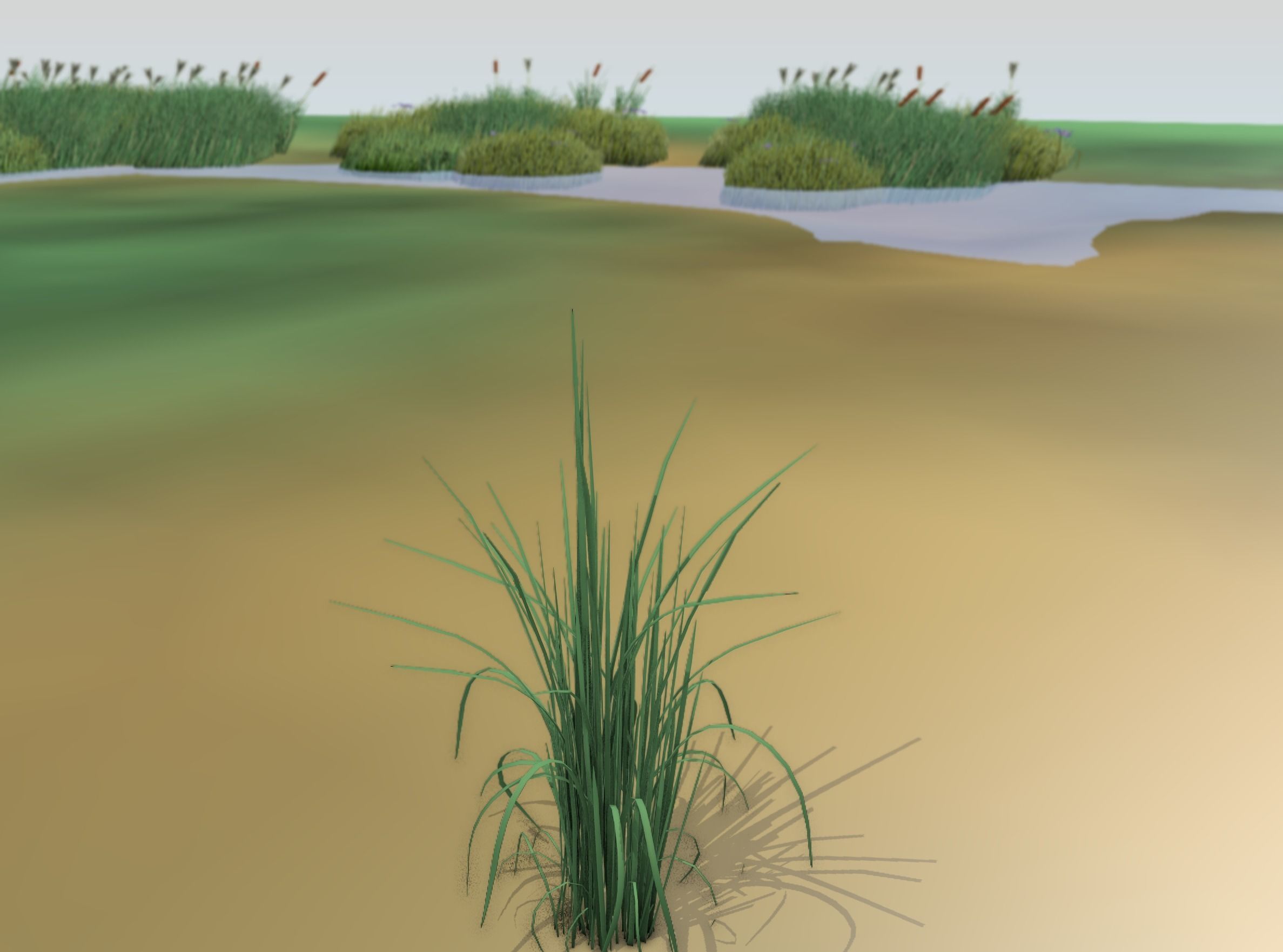 Reeds - Object 38 Low-poly 3D model_41