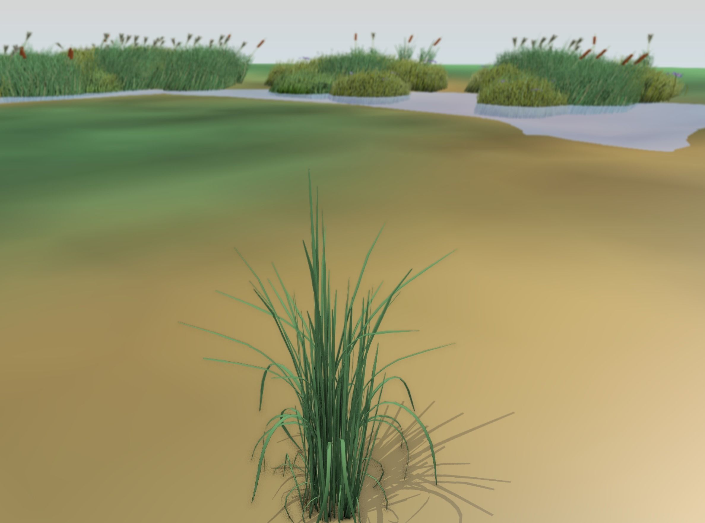 Reeds - Object 38 Low-poly 3D model_42