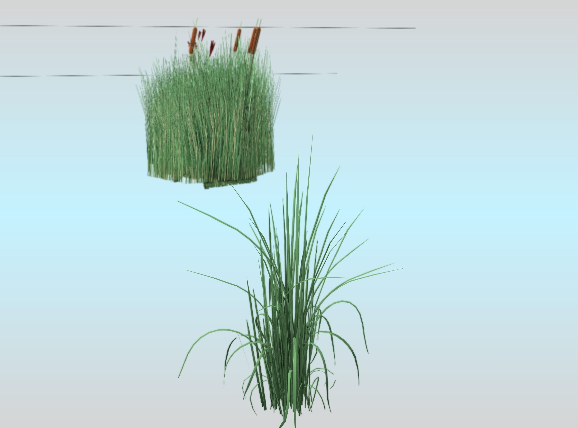 Reeds - Object 38 Low-poly 3D model_23