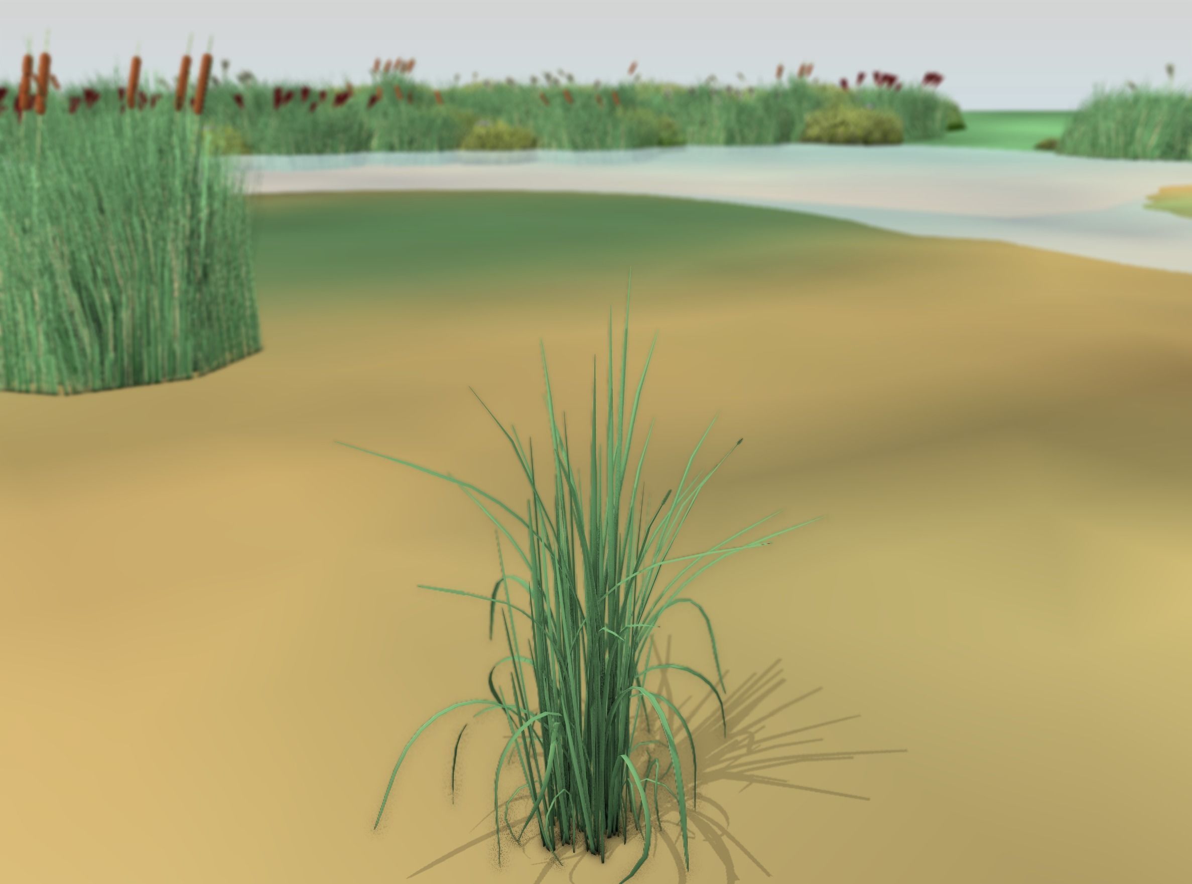 Reeds - Object 38 Low-poly 3D model_20