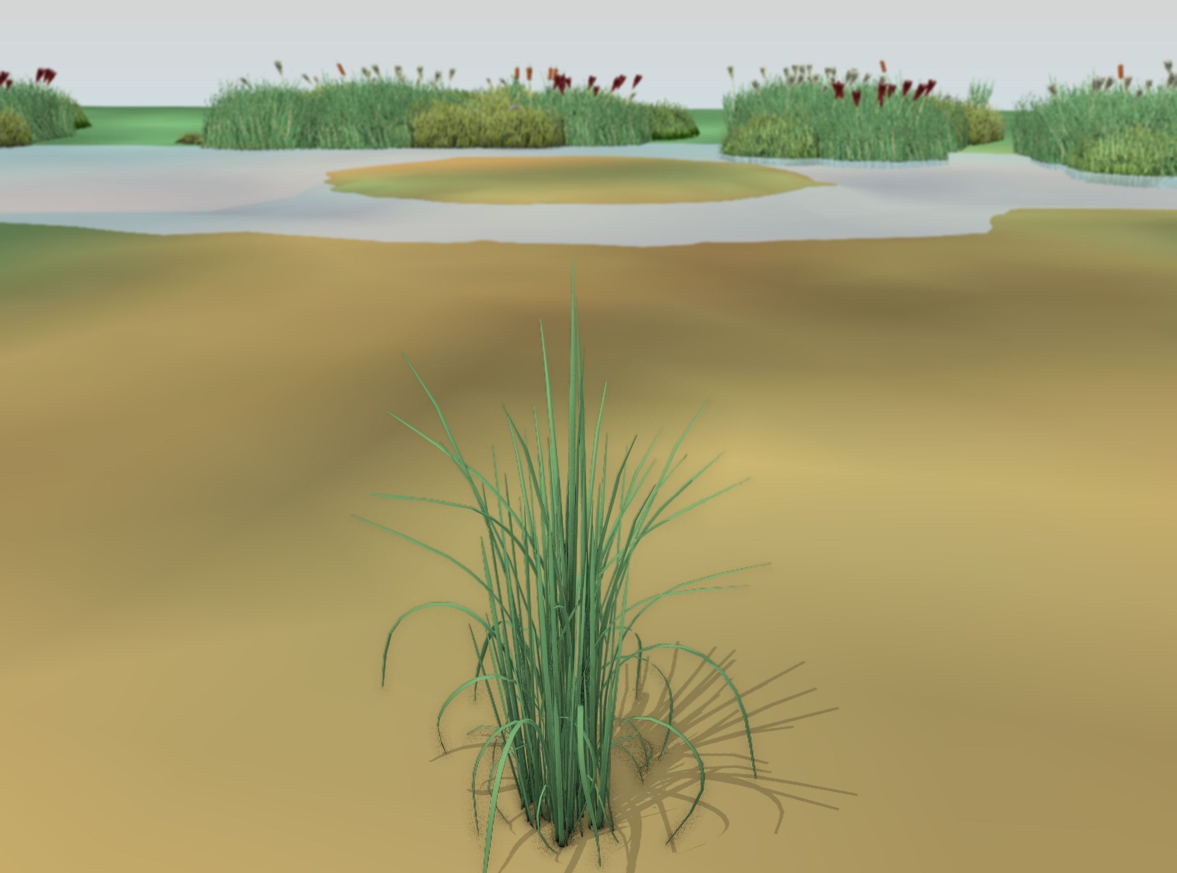 Reeds - Object 38 Low-poly 3D model_14