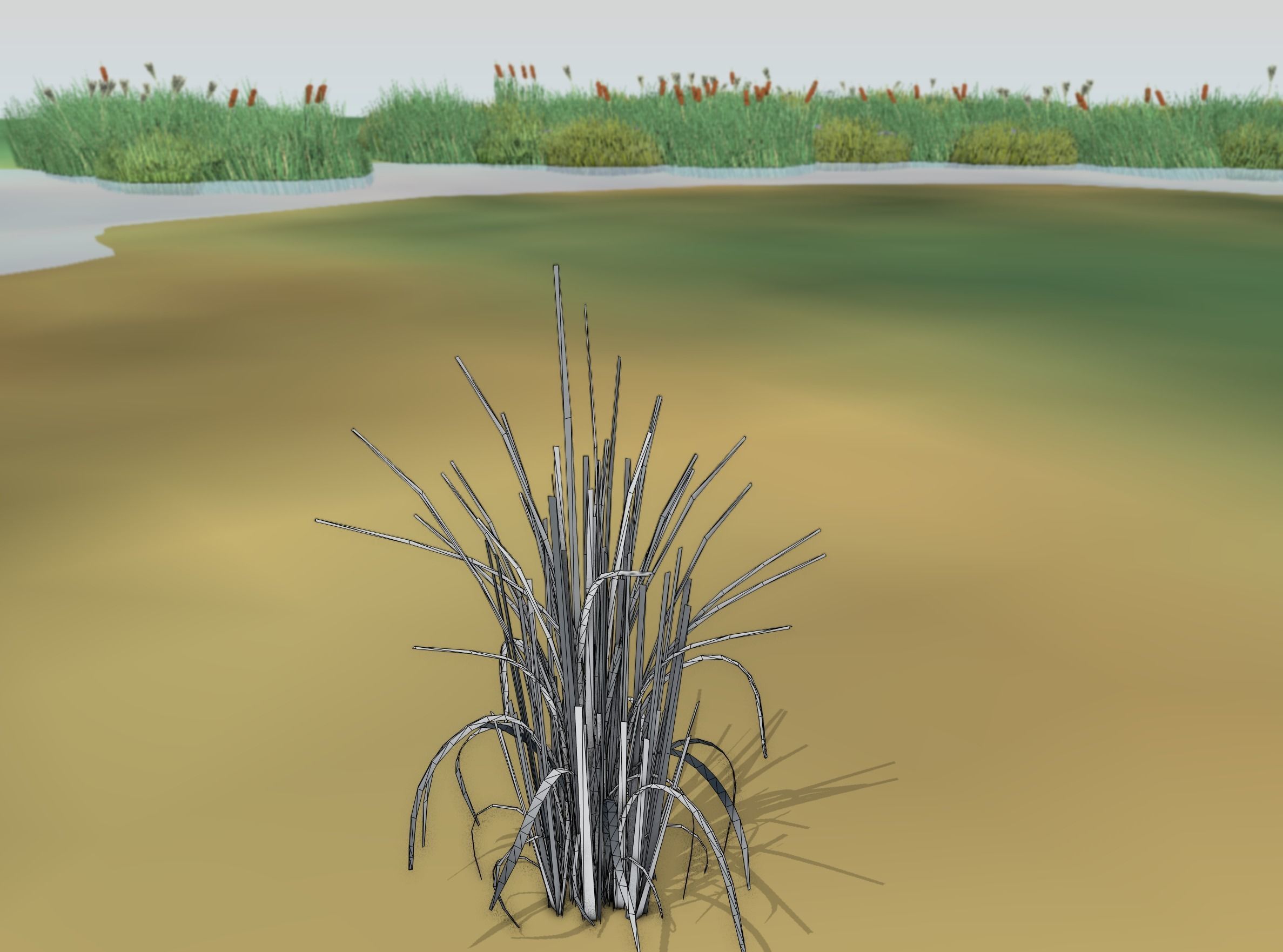 Reeds - Object 38 Low-poly 3D model_8