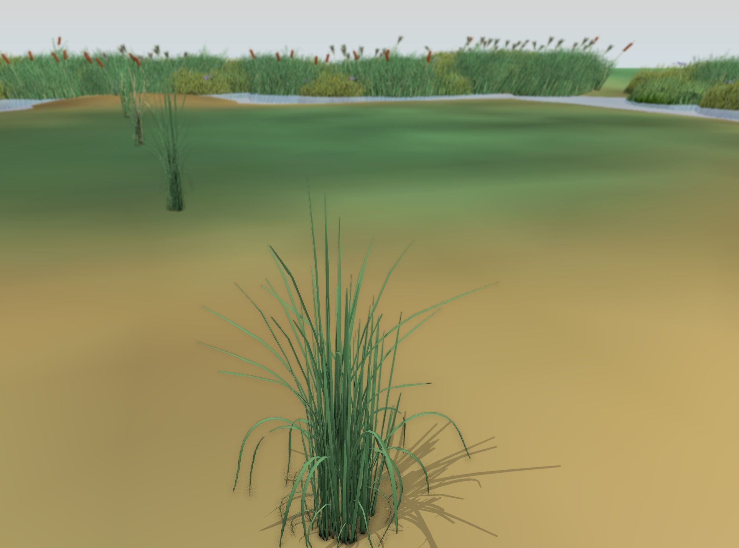 Reeds - Object 38 Low-poly 3D model_46