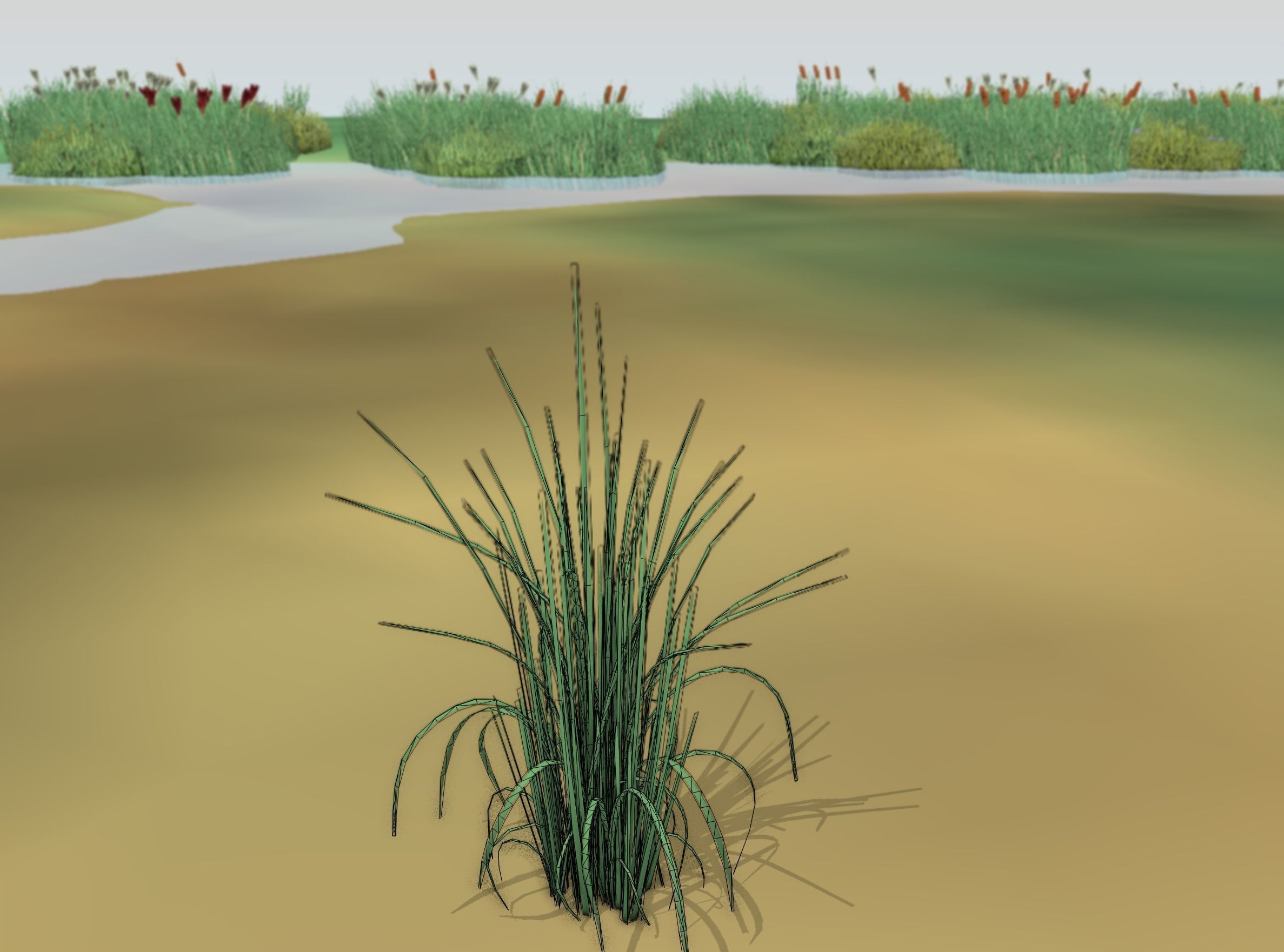 Reeds - Object 38 Low-poly 3D model_10
