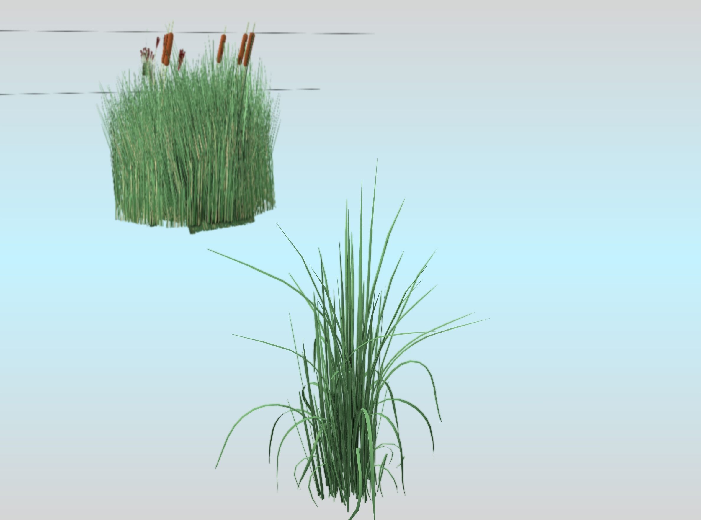 Reeds - Object 38 Low-poly 3D model_22