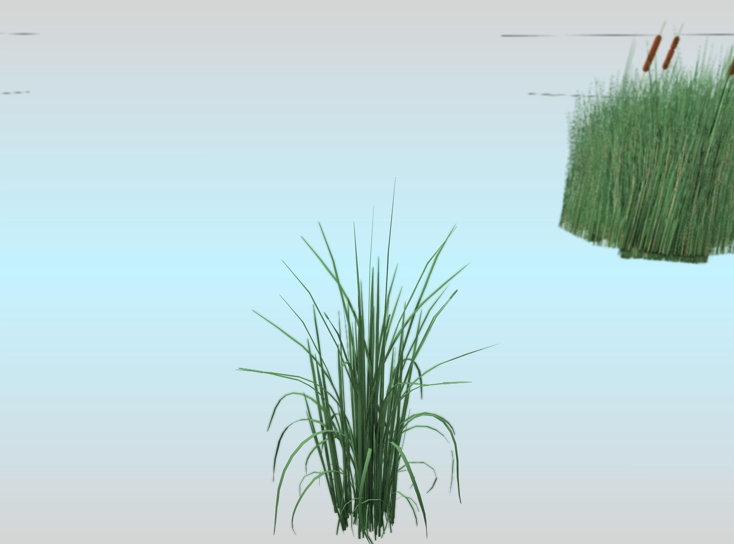 Reeds - Object 38 Low-poly 3D model_29