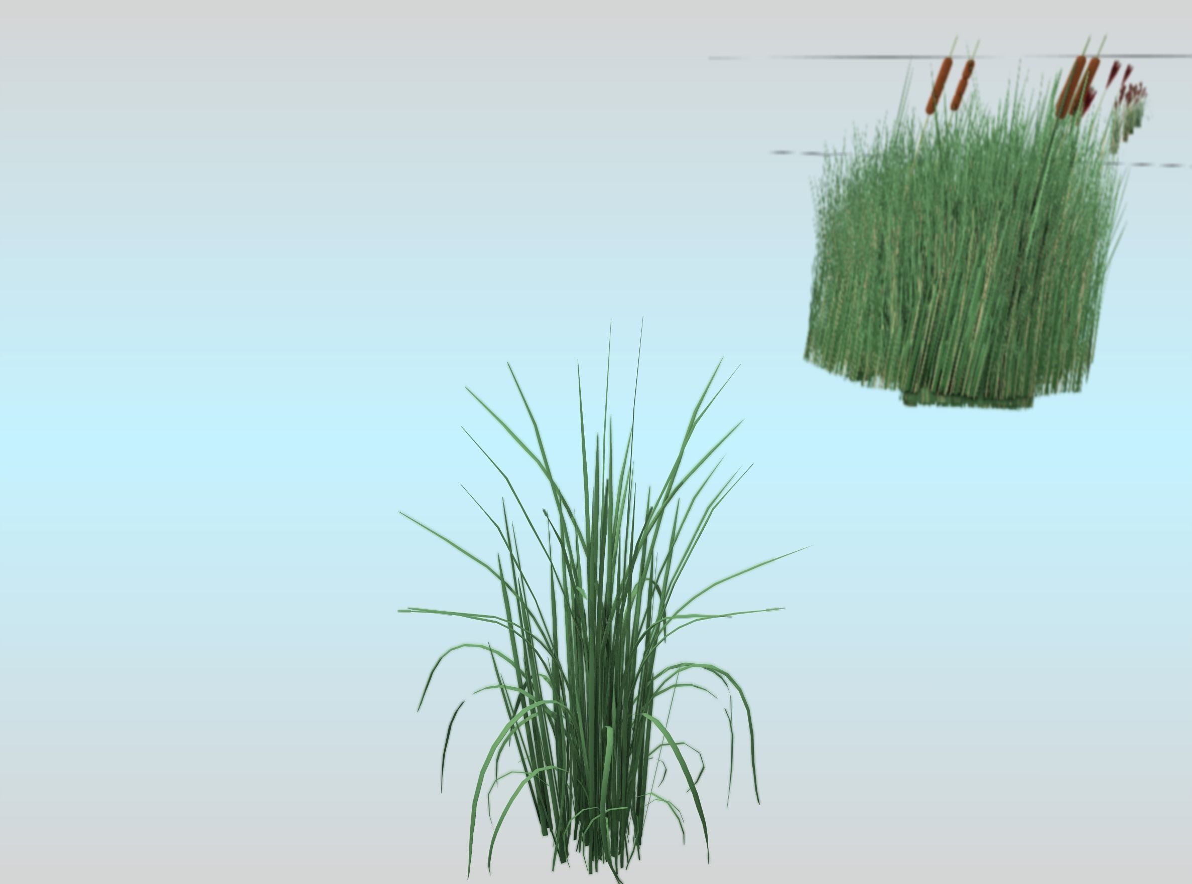 Reeds - Object 38 Low-poly 3D model_28