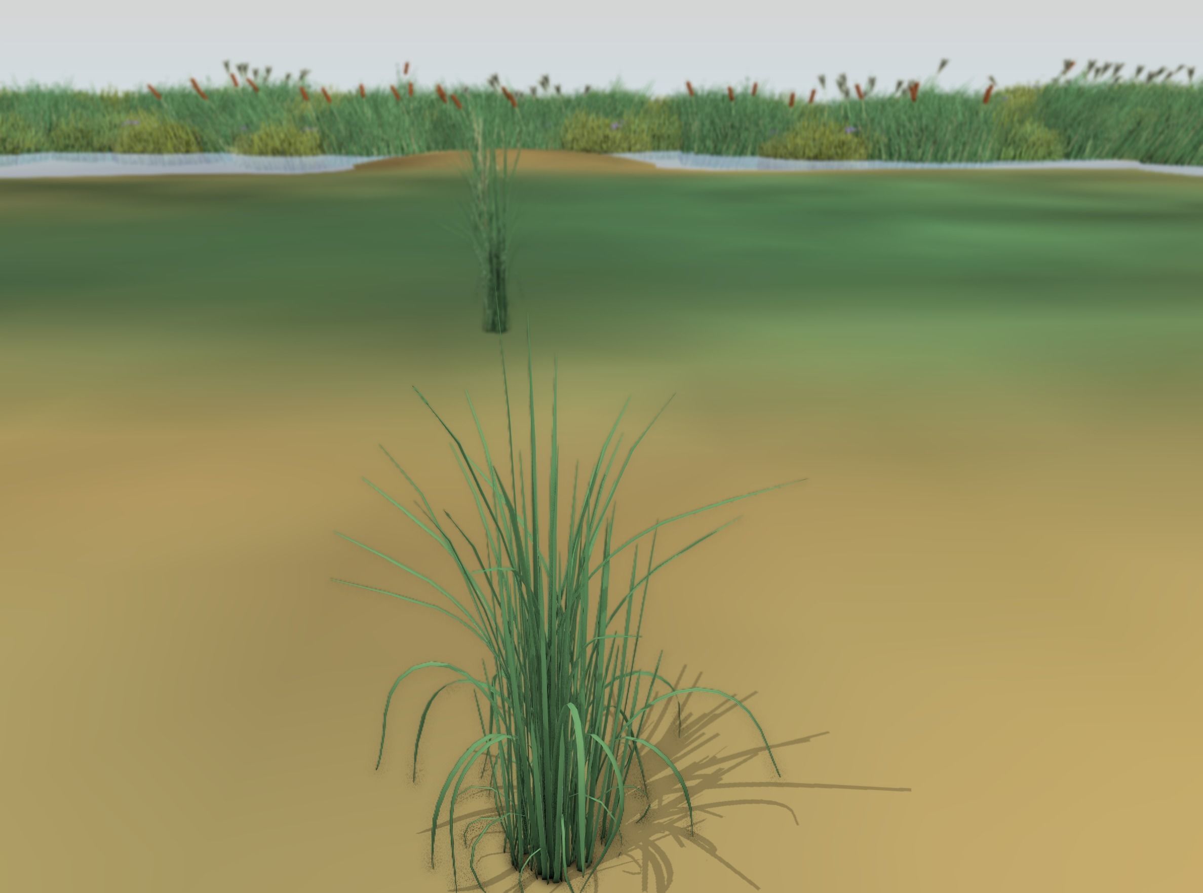 Reeds - Object 38 Low-poly 3D model_48