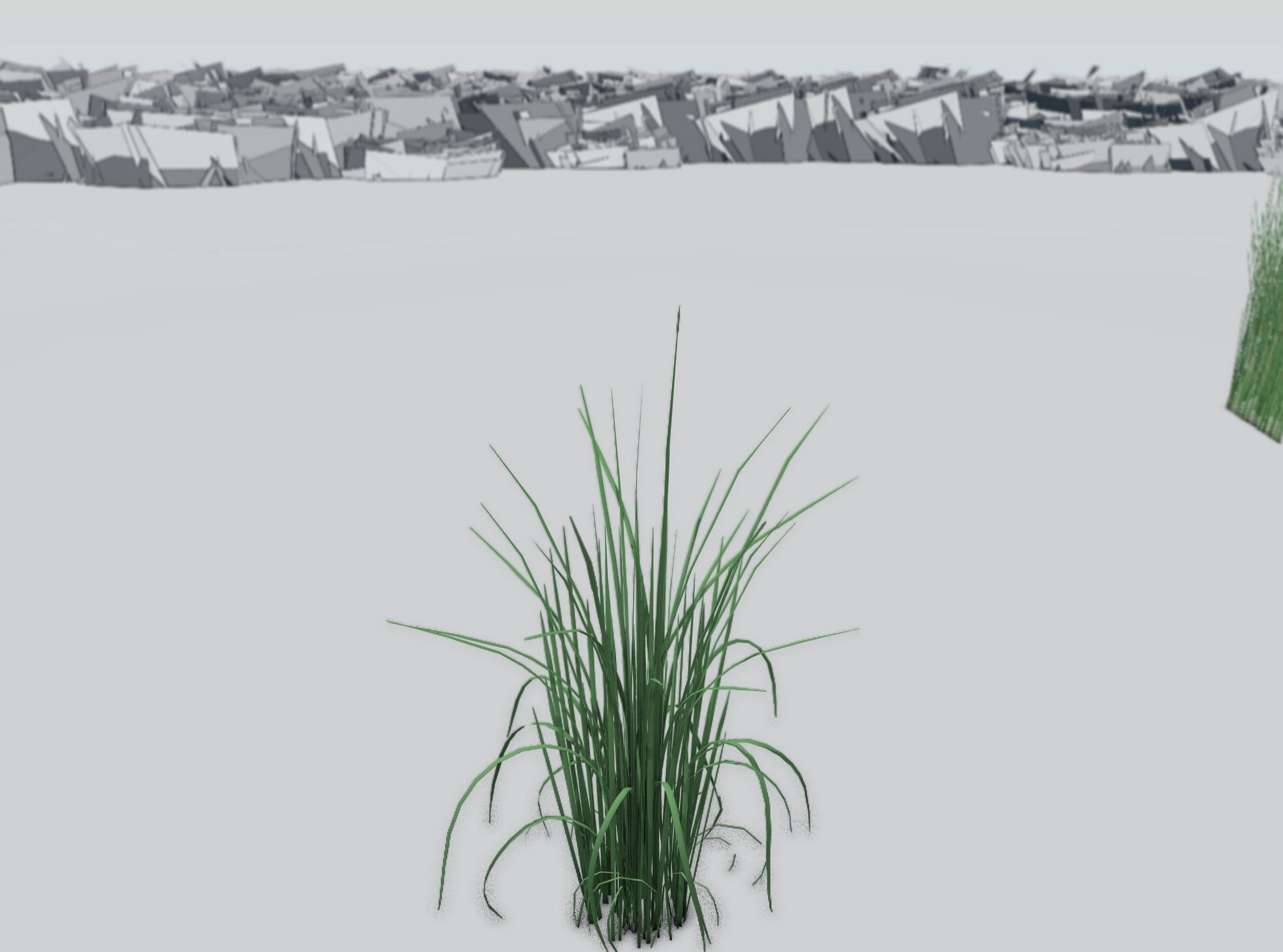 Reeds - Object 38 Low-poly 3D model_31