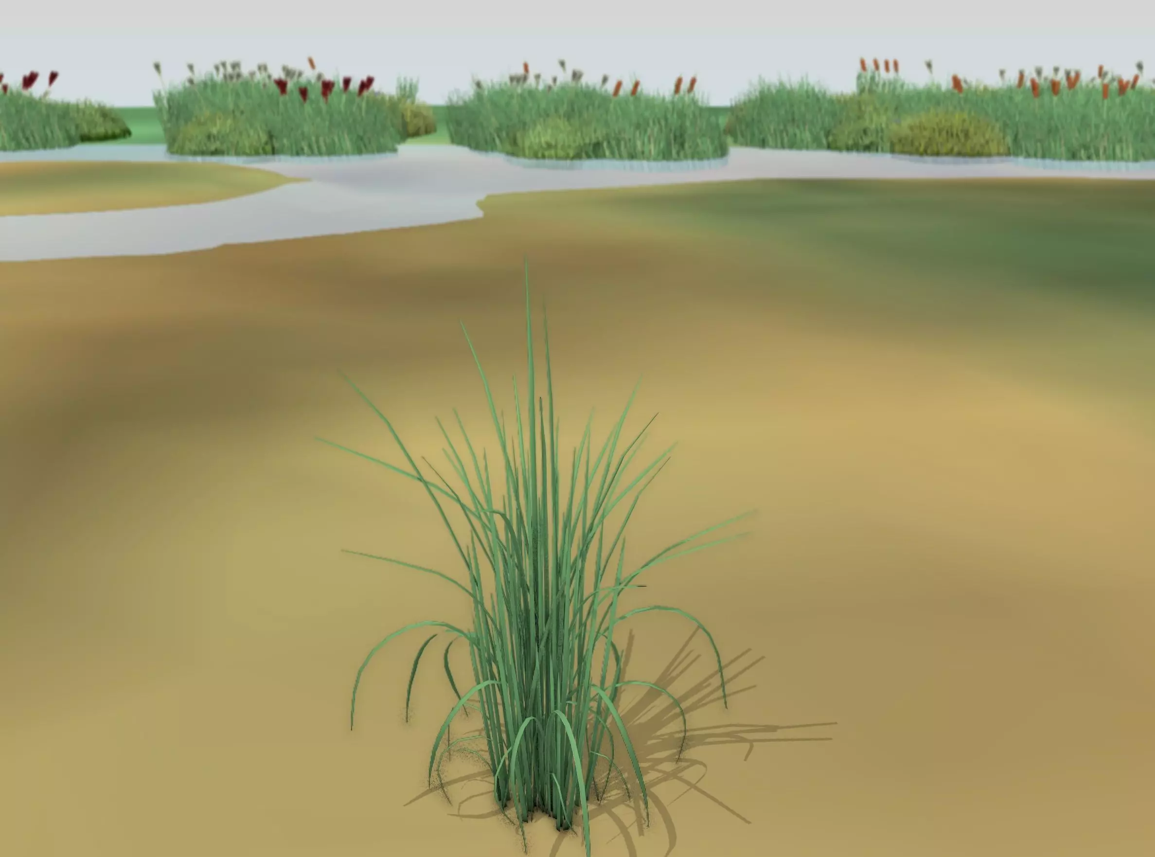 Reeds - Object 38 Low-poly 3D model_0