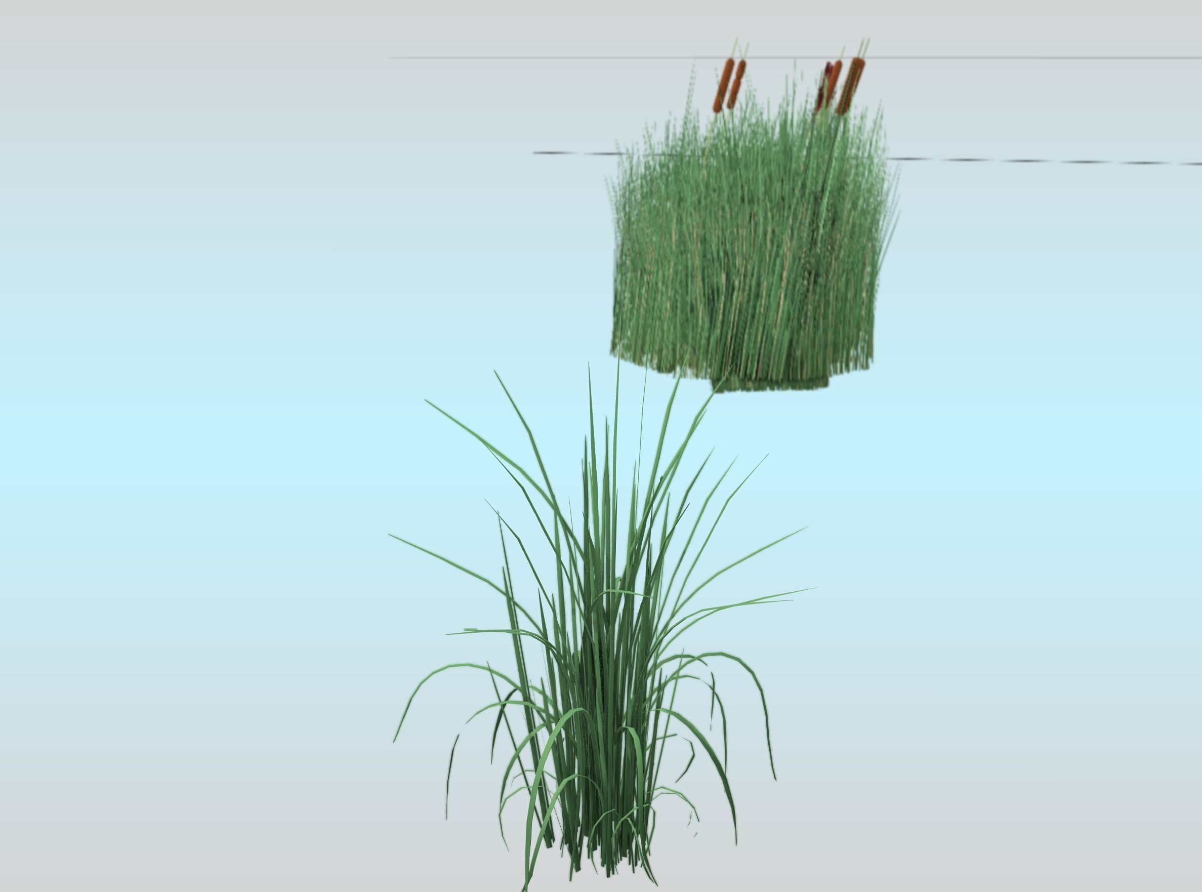 Reeds - Object 38 Low-poly 3D model_26