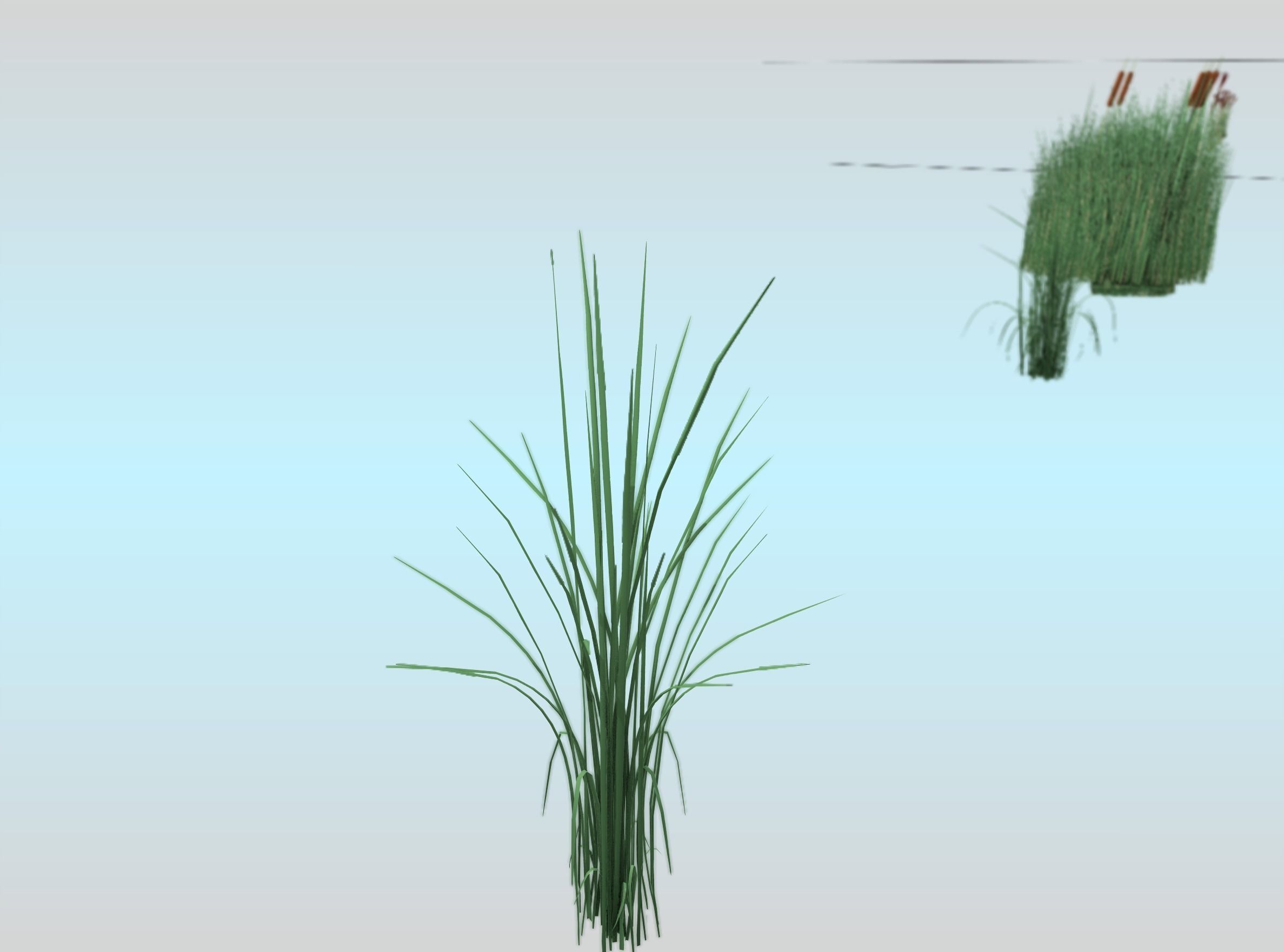 Reeds - Object 39 Low-poly 3D model_27