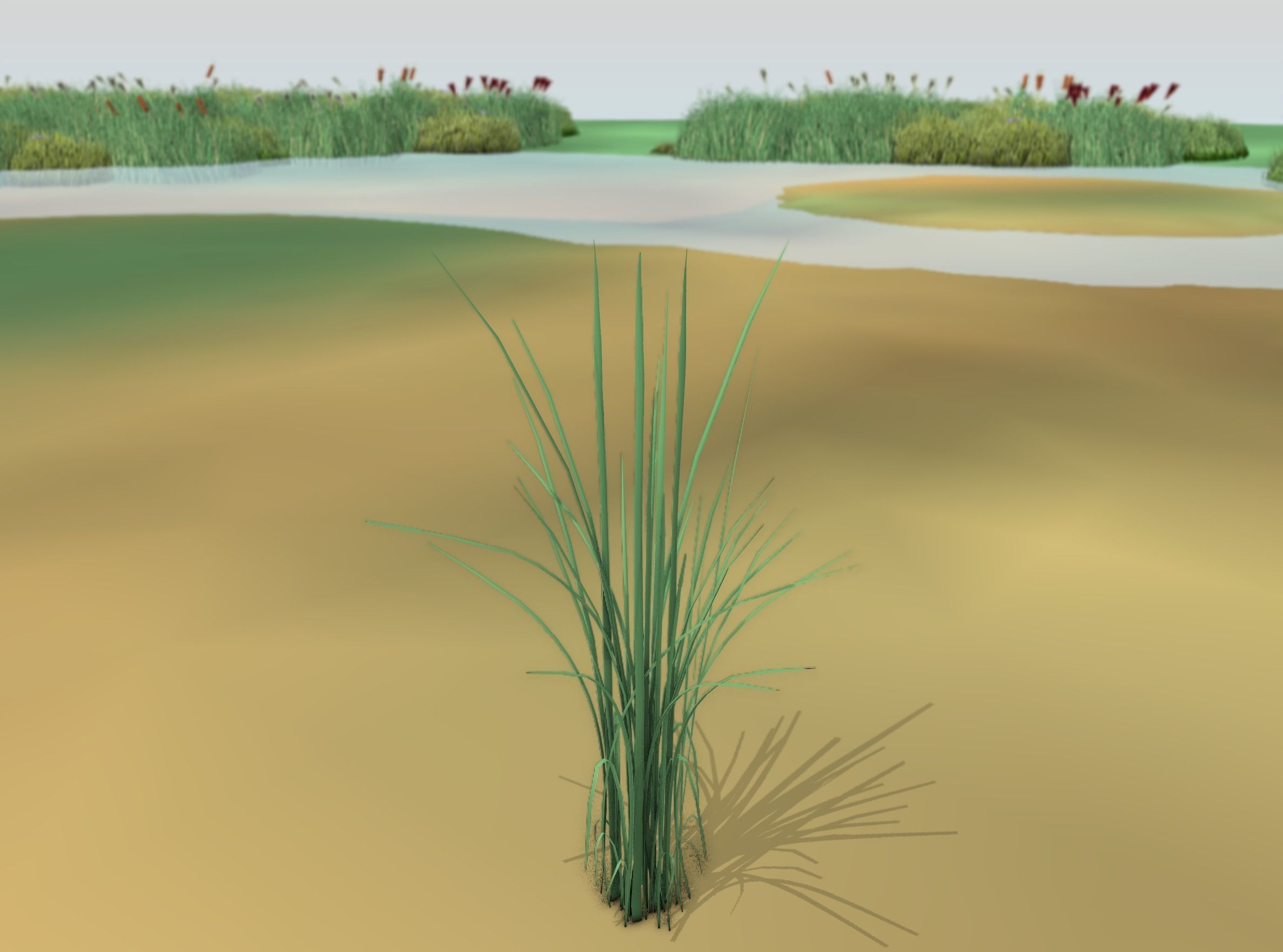 Reeds - Object 39 Low-poly 3D model_16