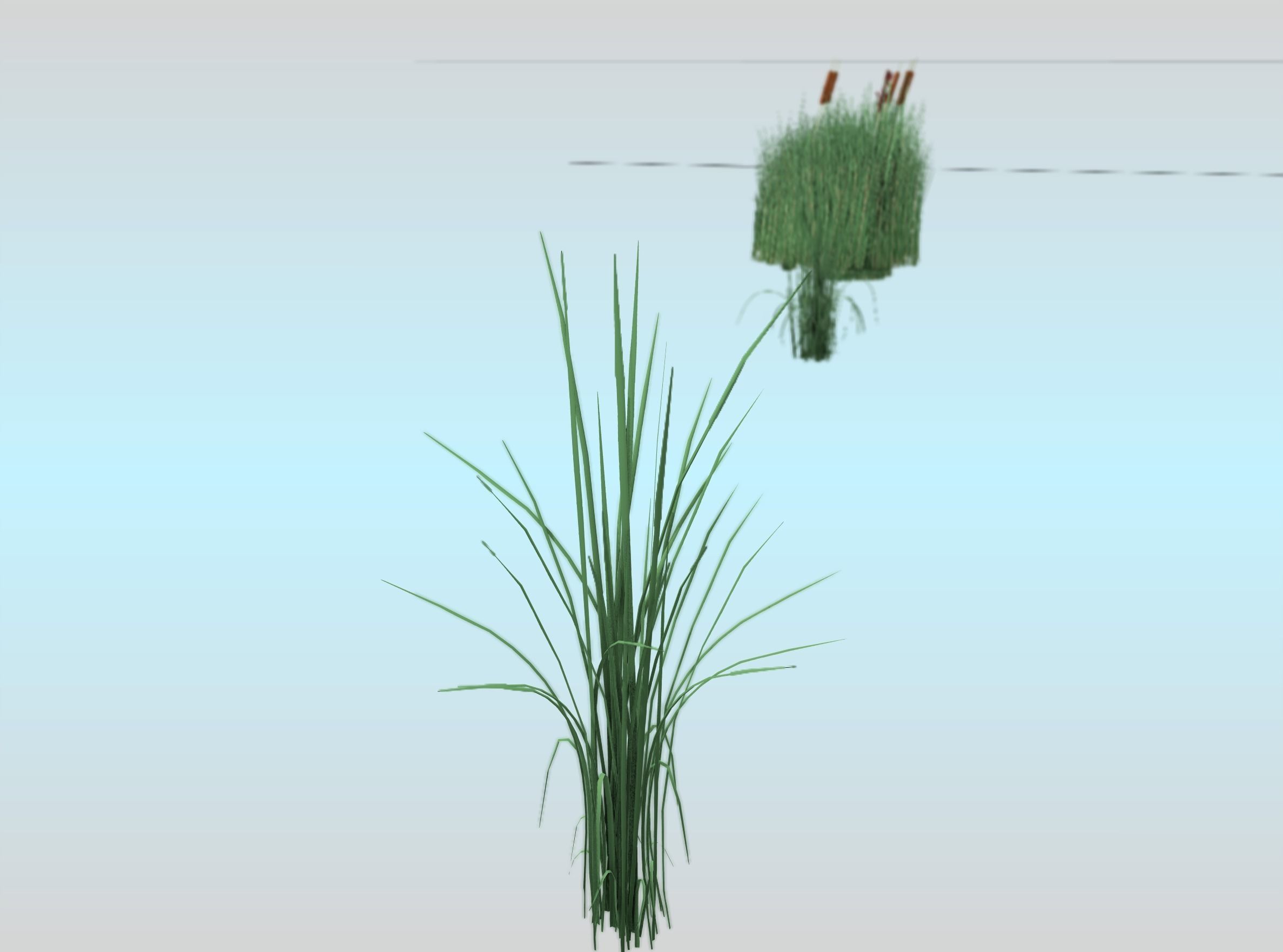 Reeds - Object 39 Low-poly 3D model_25