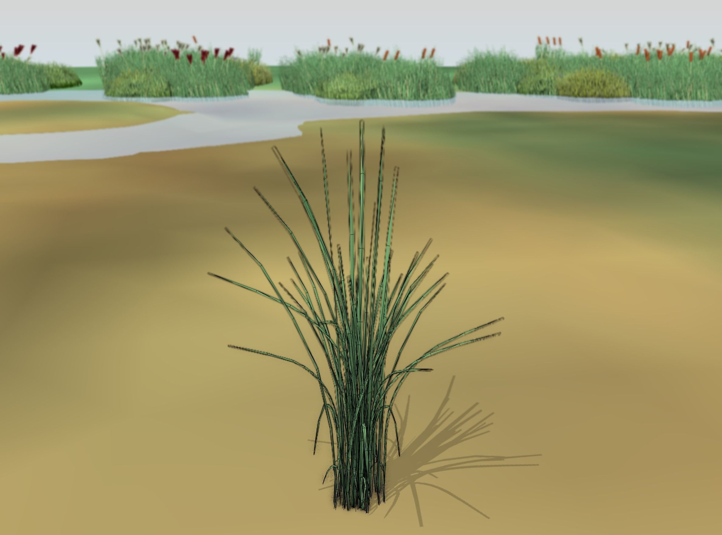 Reeds - Object 39 Low-poly 3D model_9