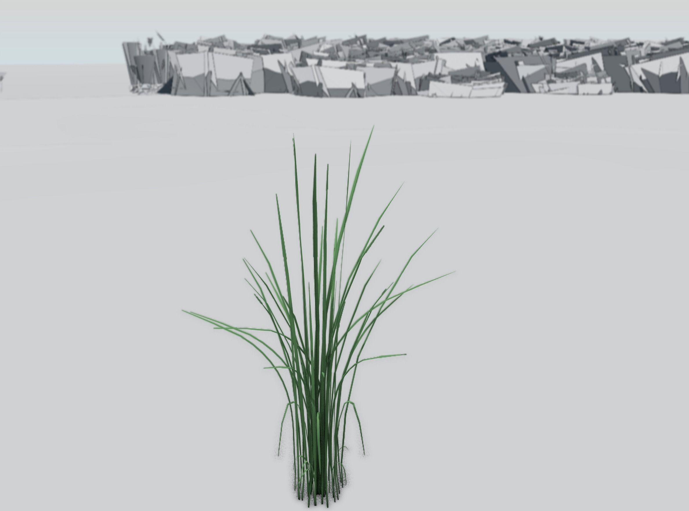 Reeds - Object 39 Low-poly 3D model_33