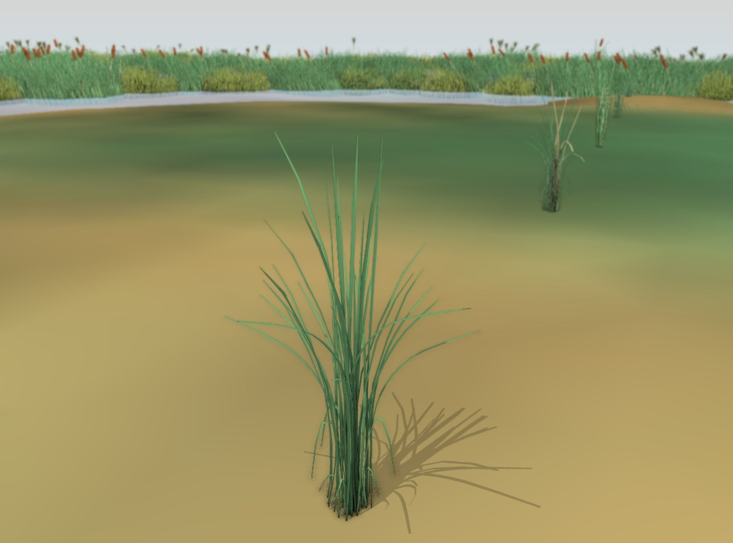 Reeds - Object 39 Low-poly 3D model_2