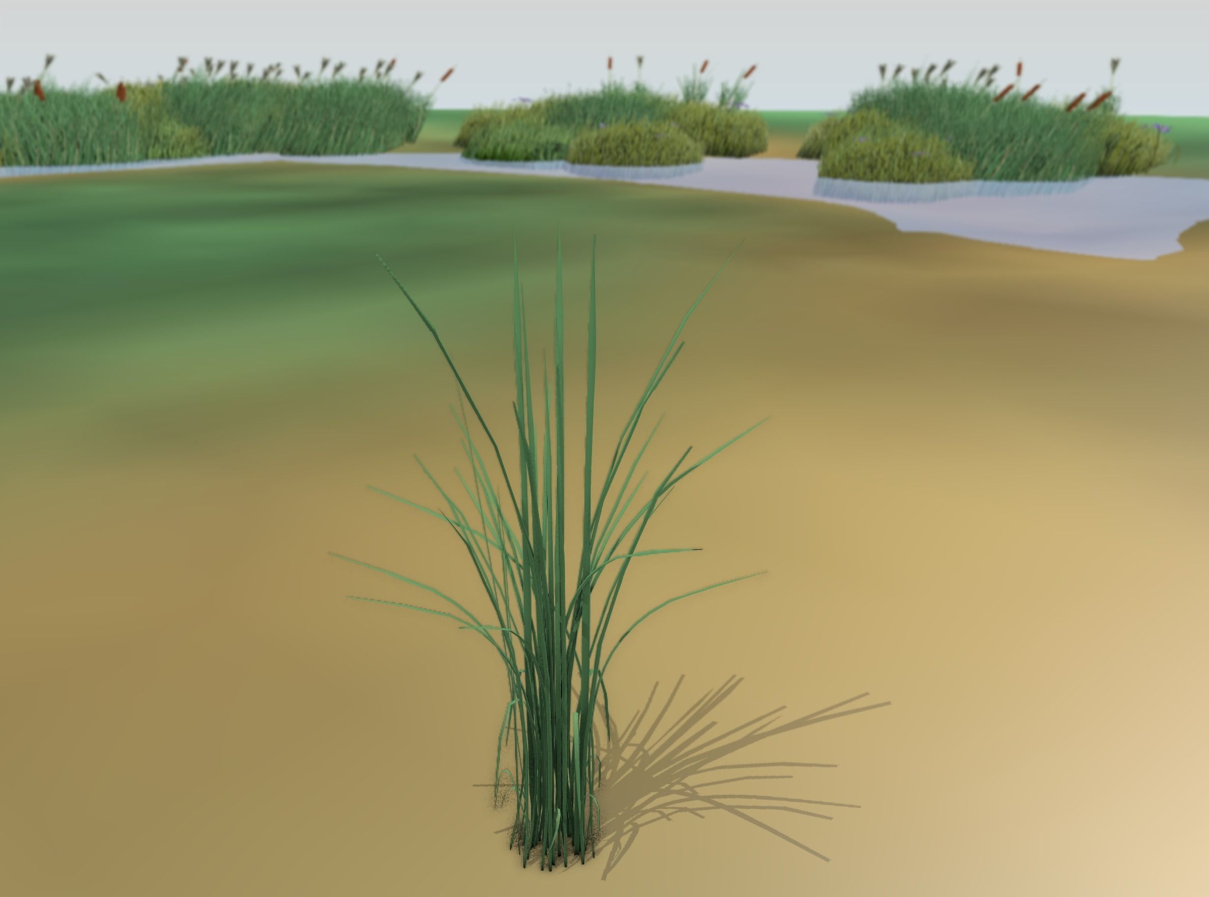 Reeds - Object 39 Low-poly 3D model_41
