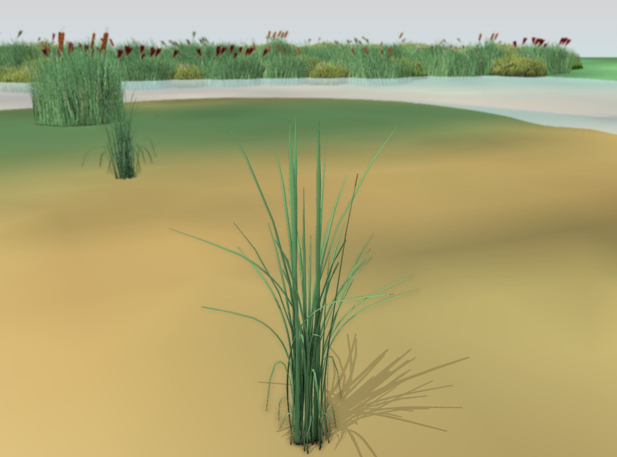 Reeds - Object 39 Low-poly 3D model_20