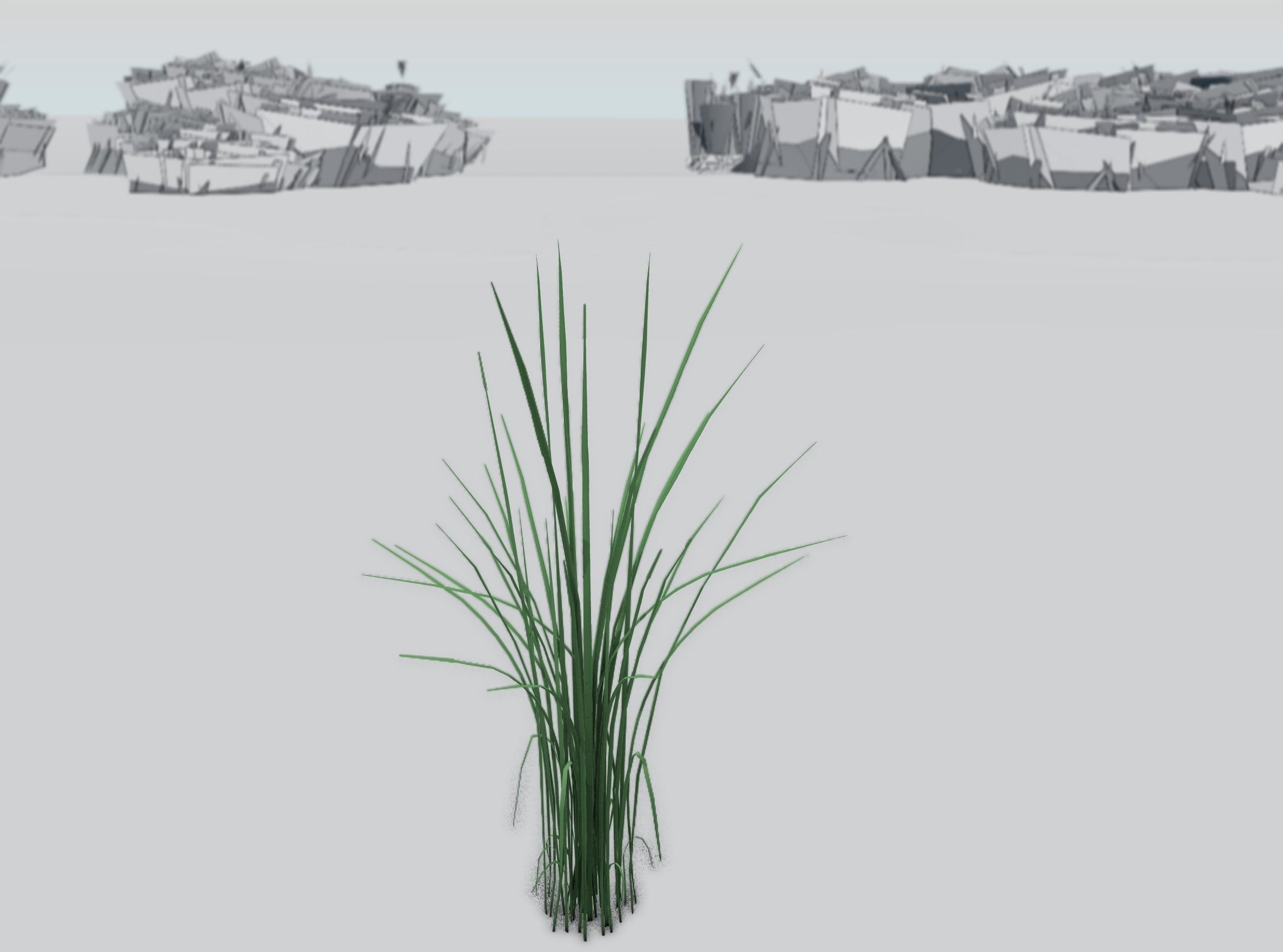 Reeds - Object 39 Low-poly 3D model_36