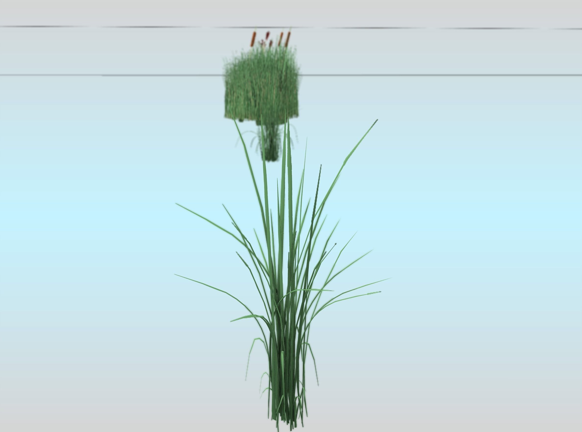 Reeds - Object 39 Low-poly 3D model_23