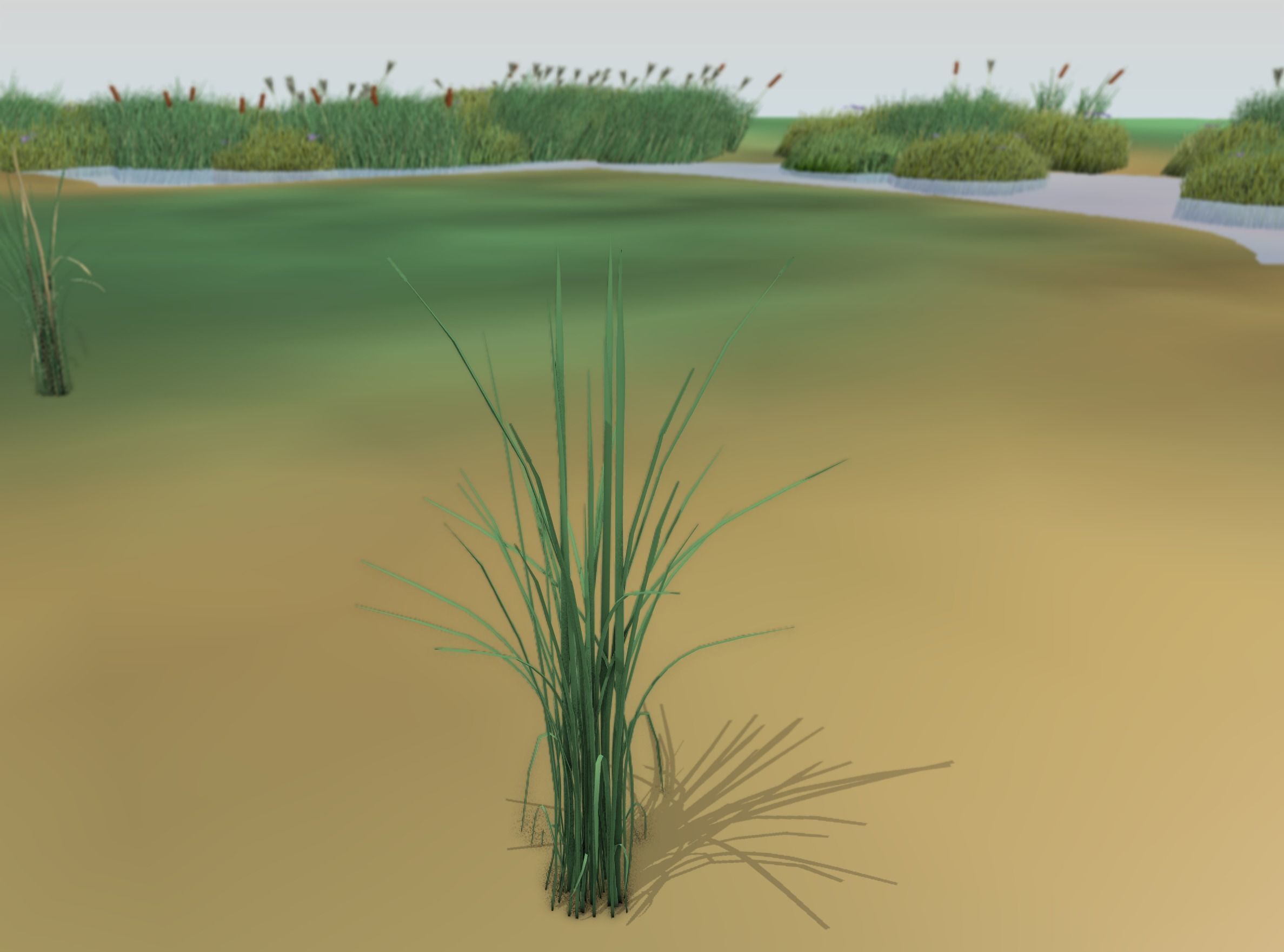 Reeds - Object 39 Low-poly 3D model_43