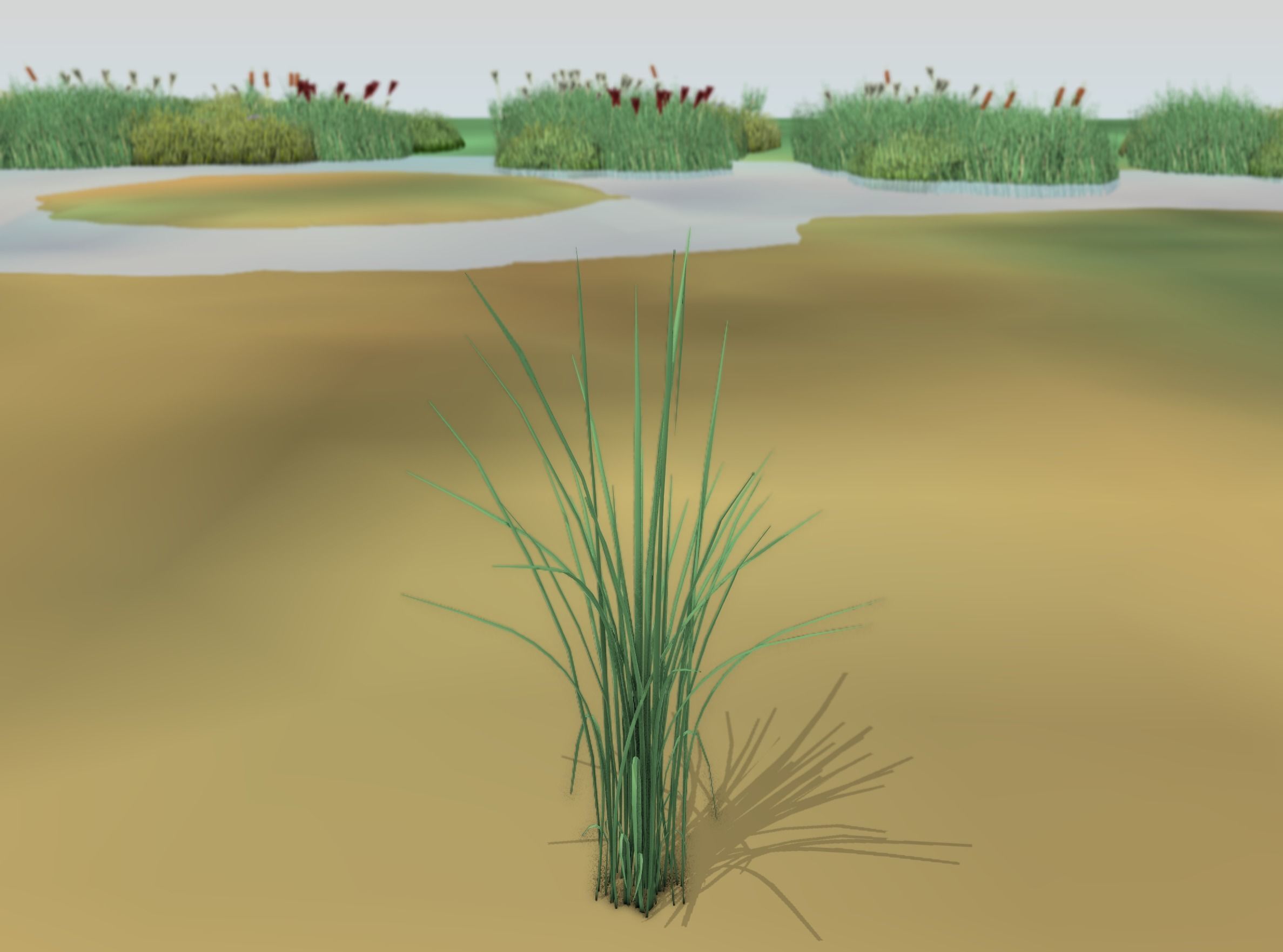 Reeds - Object 39 Low-poly 3D model_11